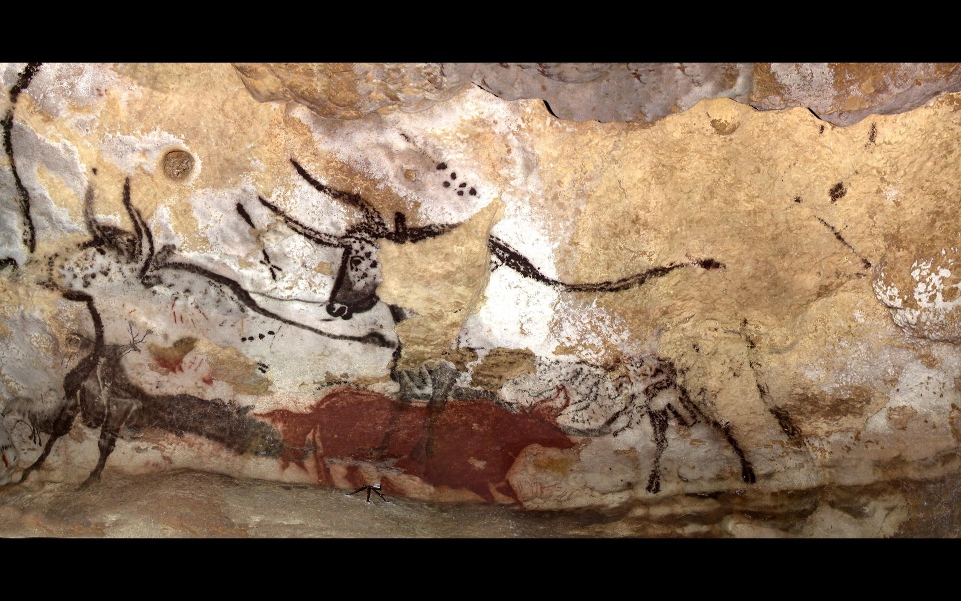 animism, 1080P, prehistoire, stone, neanderthal, cave, wild, photograp, wall, lascaux, history, picture, paleolithic, art, nice, HD Wallpaper