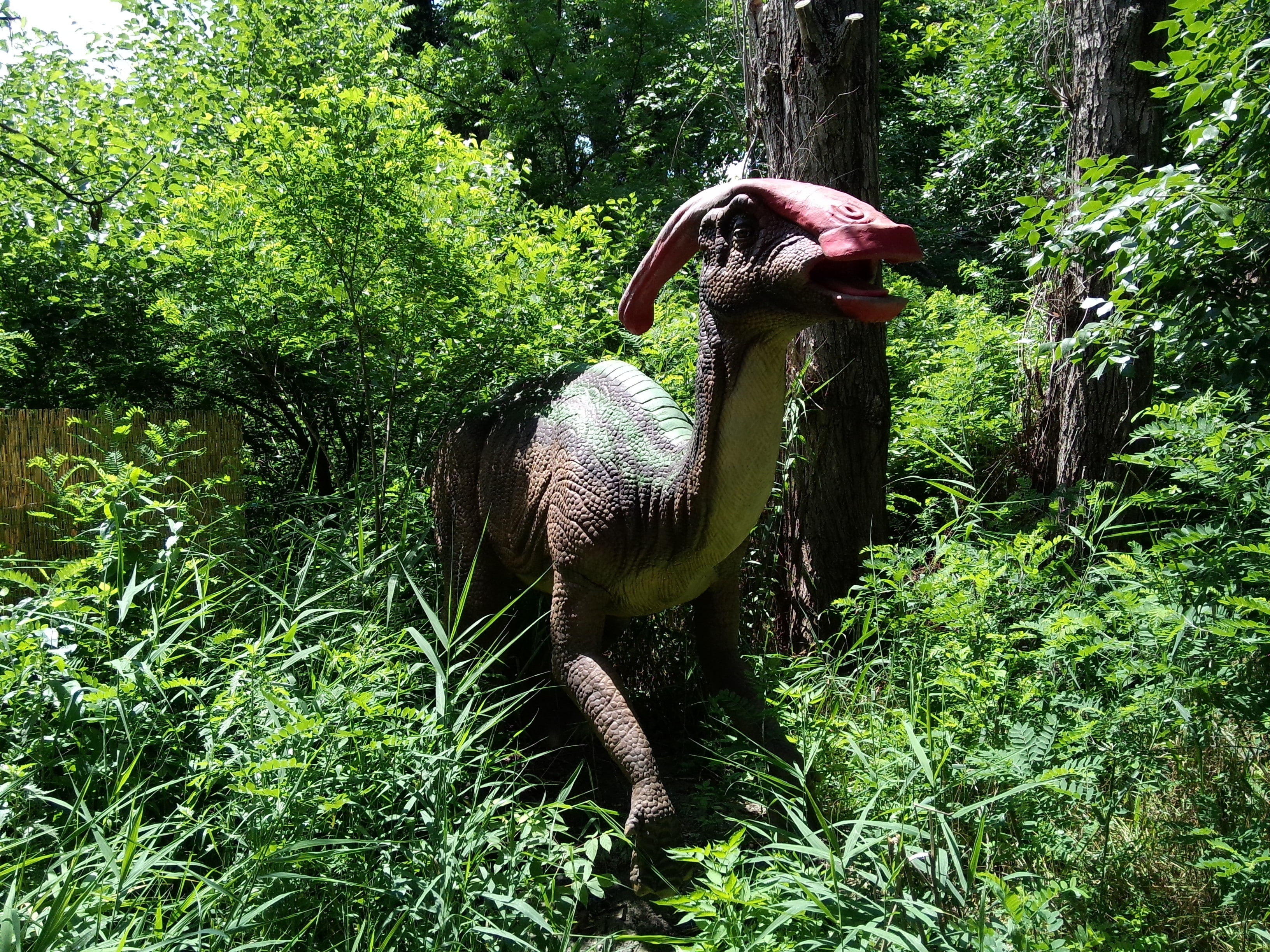 nature, creature, growth, mammal, domestic animals, livestock, 2K, tree, animal, herbivorous, day, vertebrate, outdoors, animal wildlife, no people, dinosaurs, HD Wallpaper