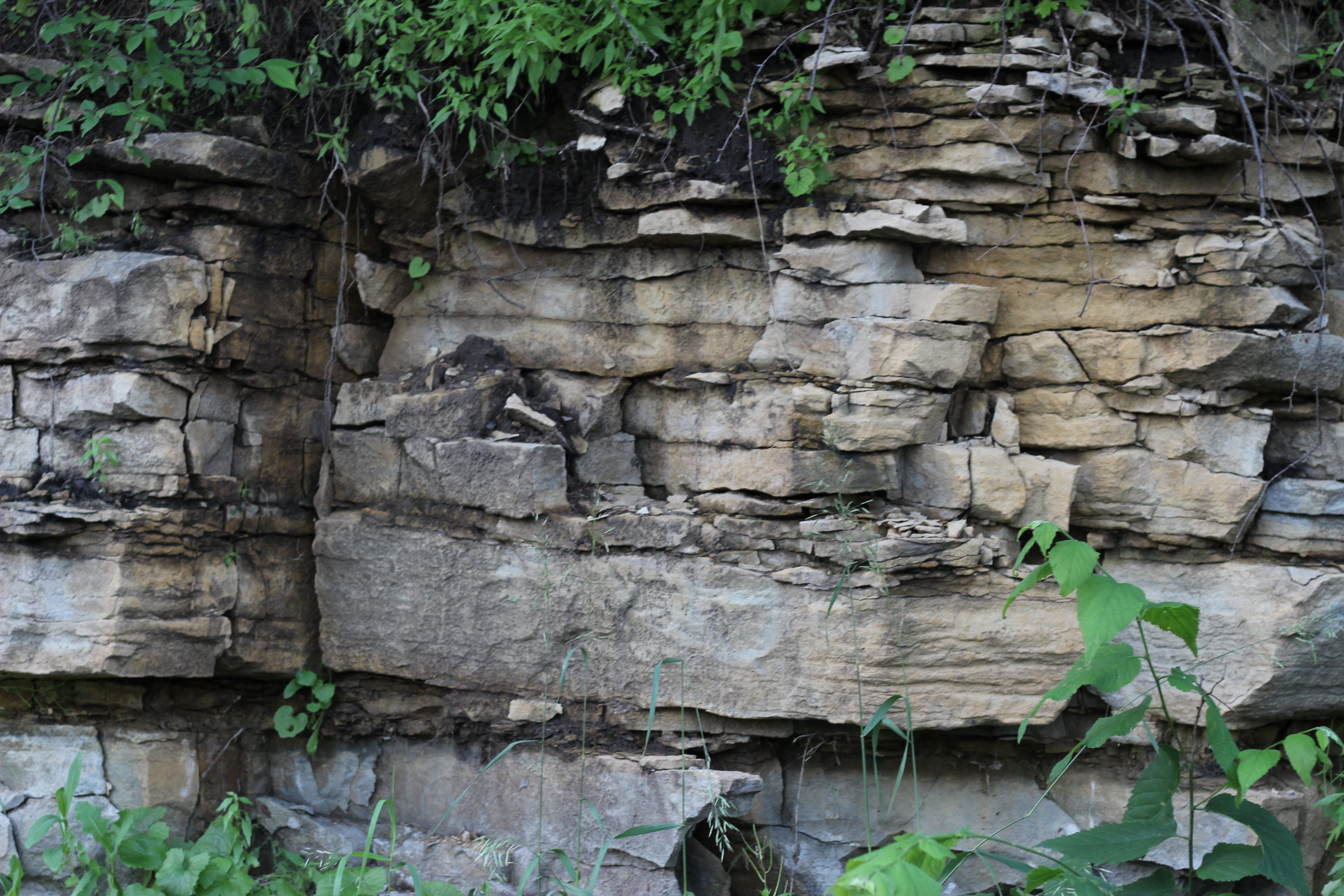 weathered, texture, stone wall, gray, sediment, growth, stone, plant, green, plant part, architecture, mineral, sedimentary, textured, leaf, built structure, HD Wallpaper