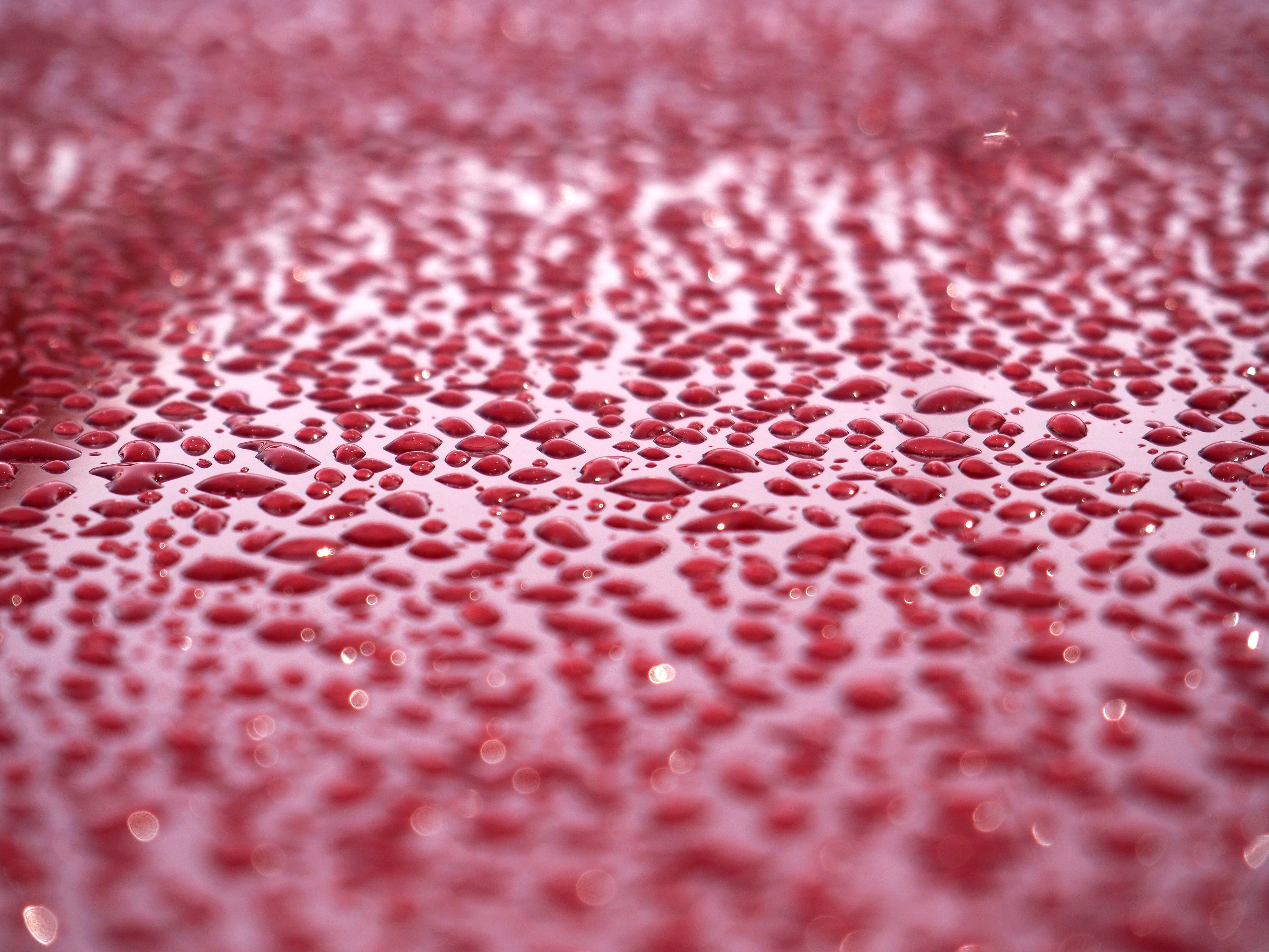 rain, 4K, cleaning, model, car, no people, pattern, wet, water, red, textured effect, pink color, drop, wheel, waterpolo, indoors, textured, HD Wallpaper