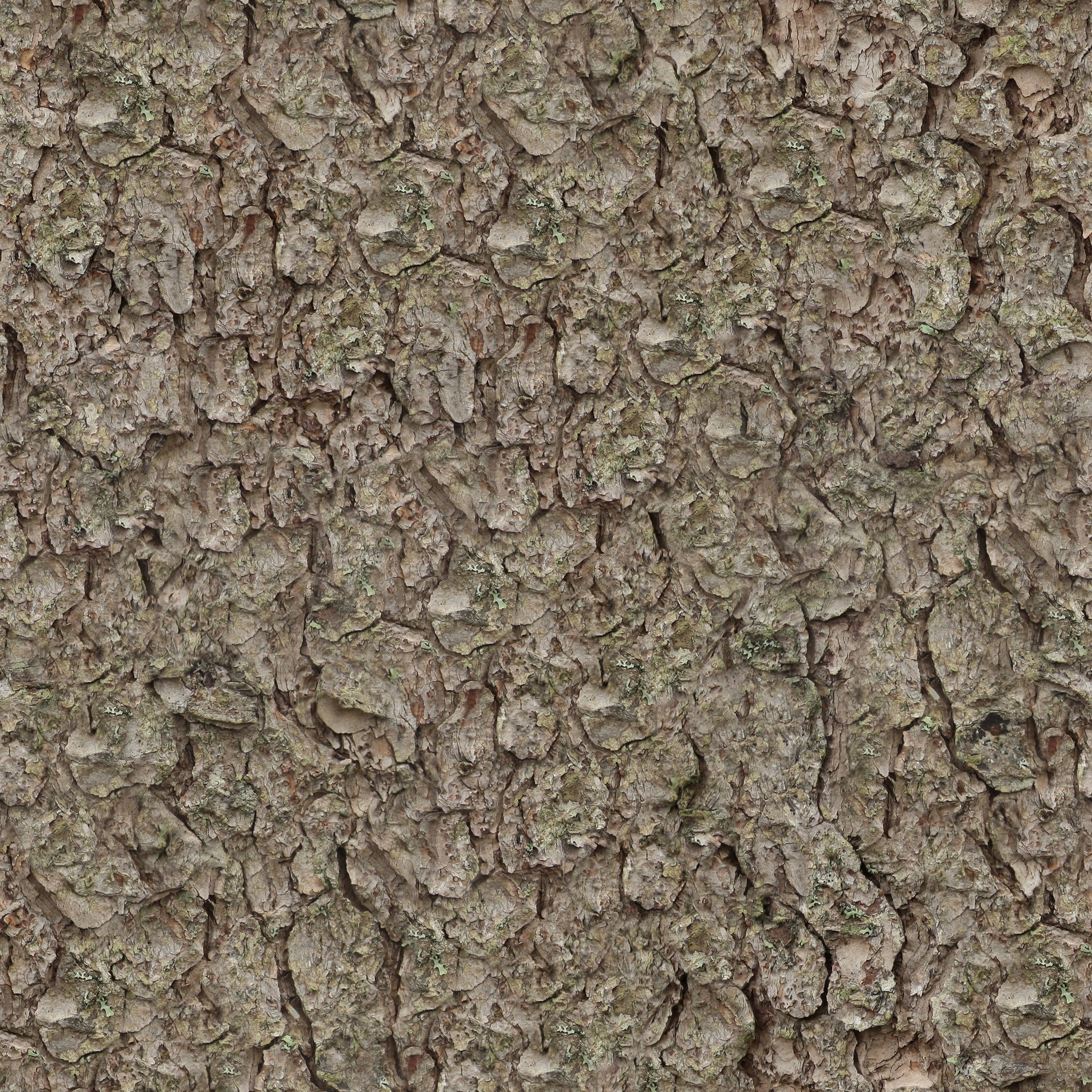bark, built structure, seamless, texture, no people, trunk, nature, textured effect, architecture, textured, pine, blank, surface level, cracked, day, tree, Phone HD Wallpaper
