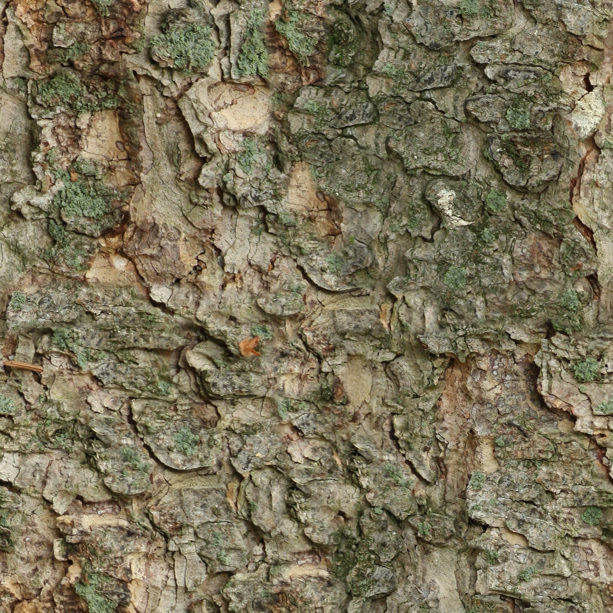 seamless, close-up, plant bark, brown, forest, wood - Material, nature, rough, day, tileable, textured, backgrounds, outdoors, natural pattern, textured effect, Phone HD Wallpaper