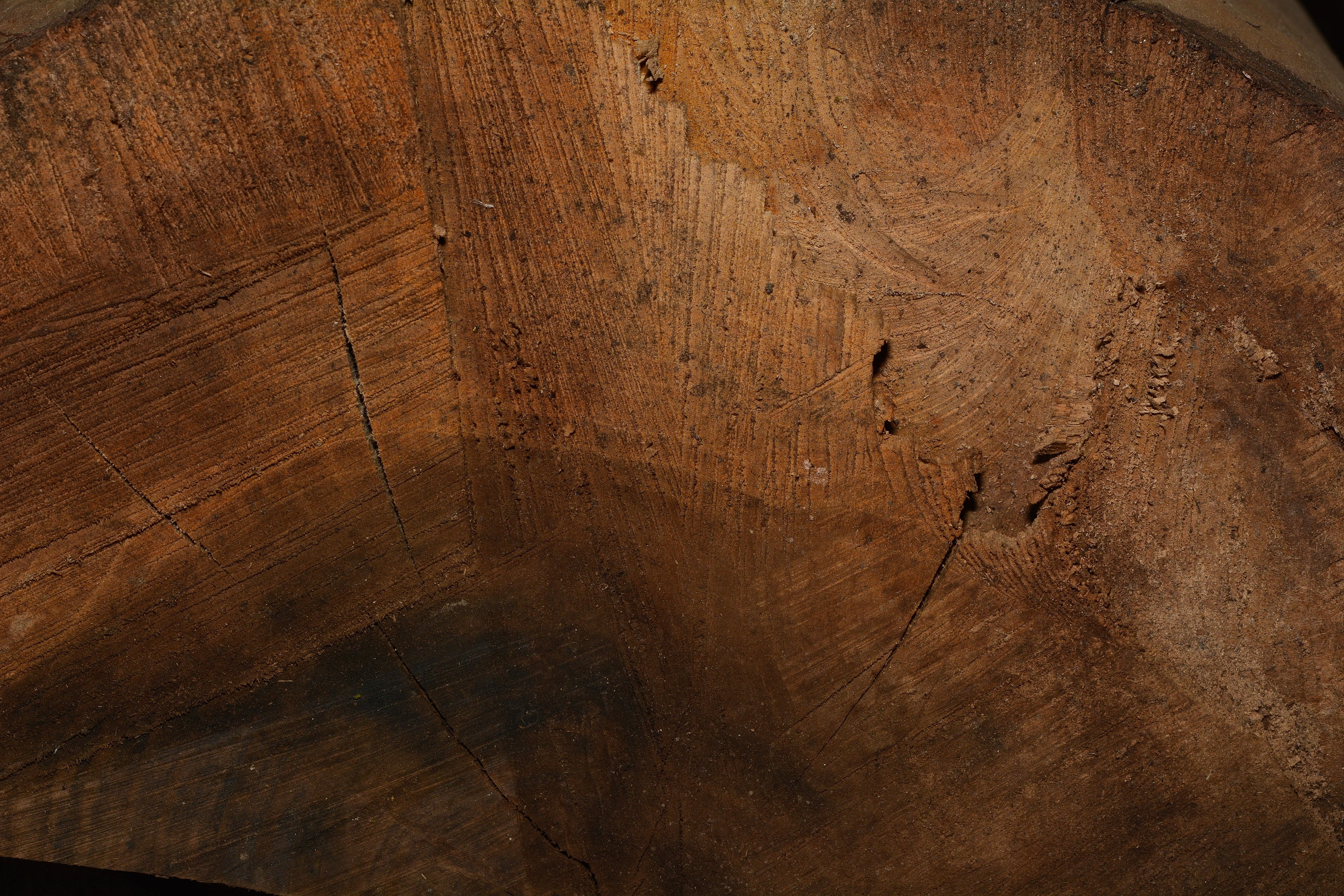 5K, dirty, weathered, dark, wood, full frame, antique, structure, plank, background, tree, cracked, pattern, wood grain, wood - Material, textured effect, HD Wallpaper
