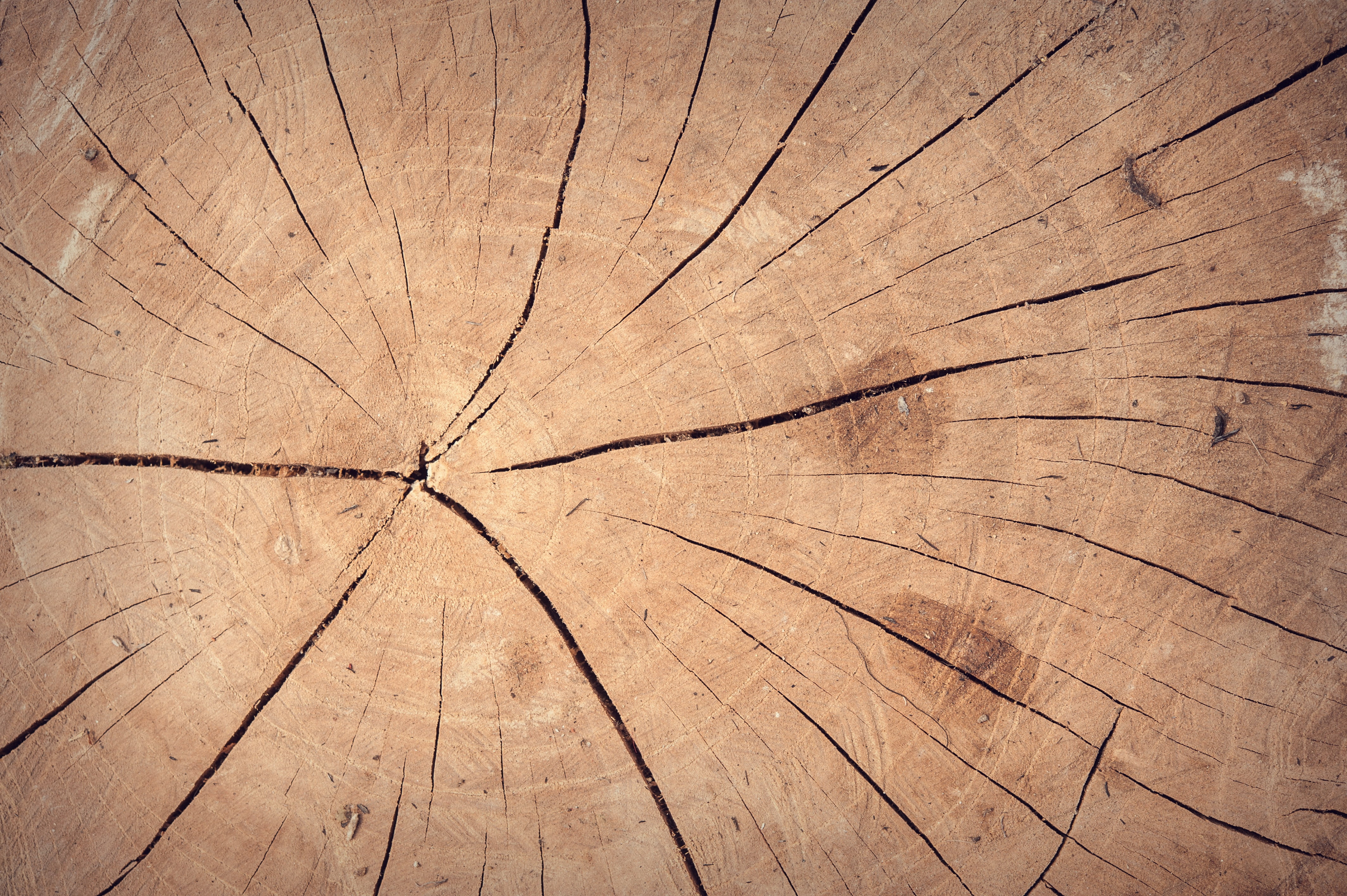 old, no people, decoration, interior, full frame, dark, antique, wood - material, oak, building, concentric, plant, textured effect, wood, backgrounds, HD Wallpaper