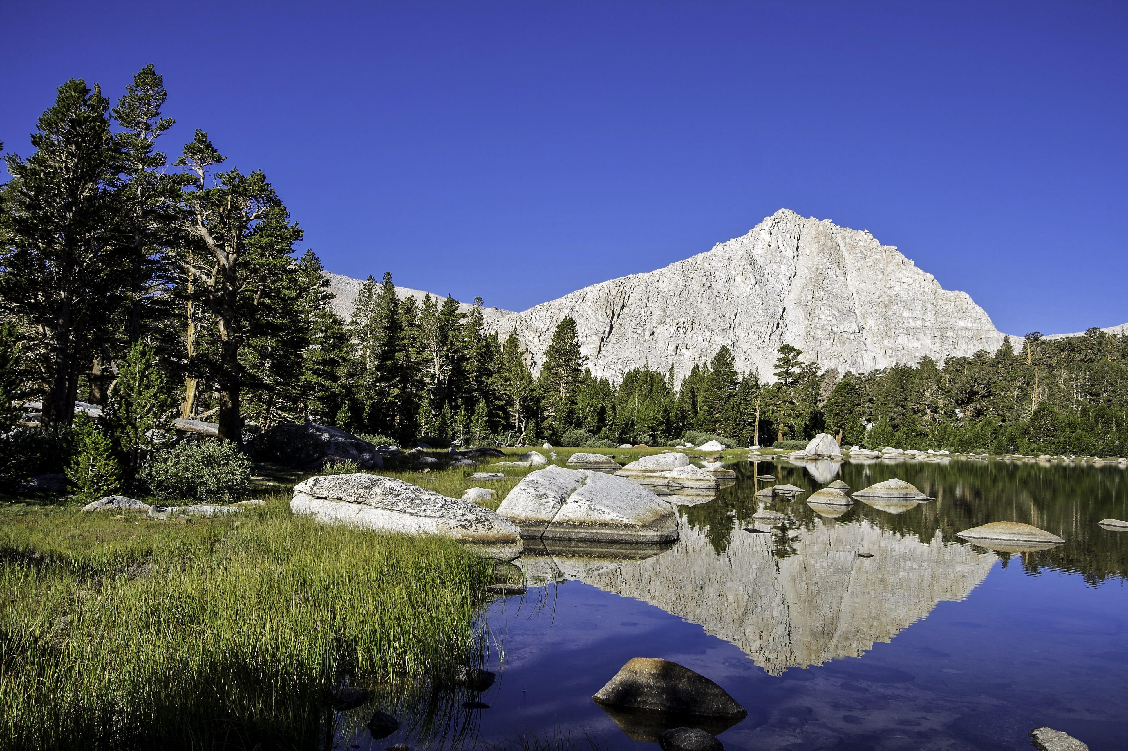 United States, coniferous tree, rock, non-urban scene, rocky Mountains, outdoors, clear sky, Lake, scenics, sequoia, muir lake, nature, Sequoia National Park, HD Wallpaper