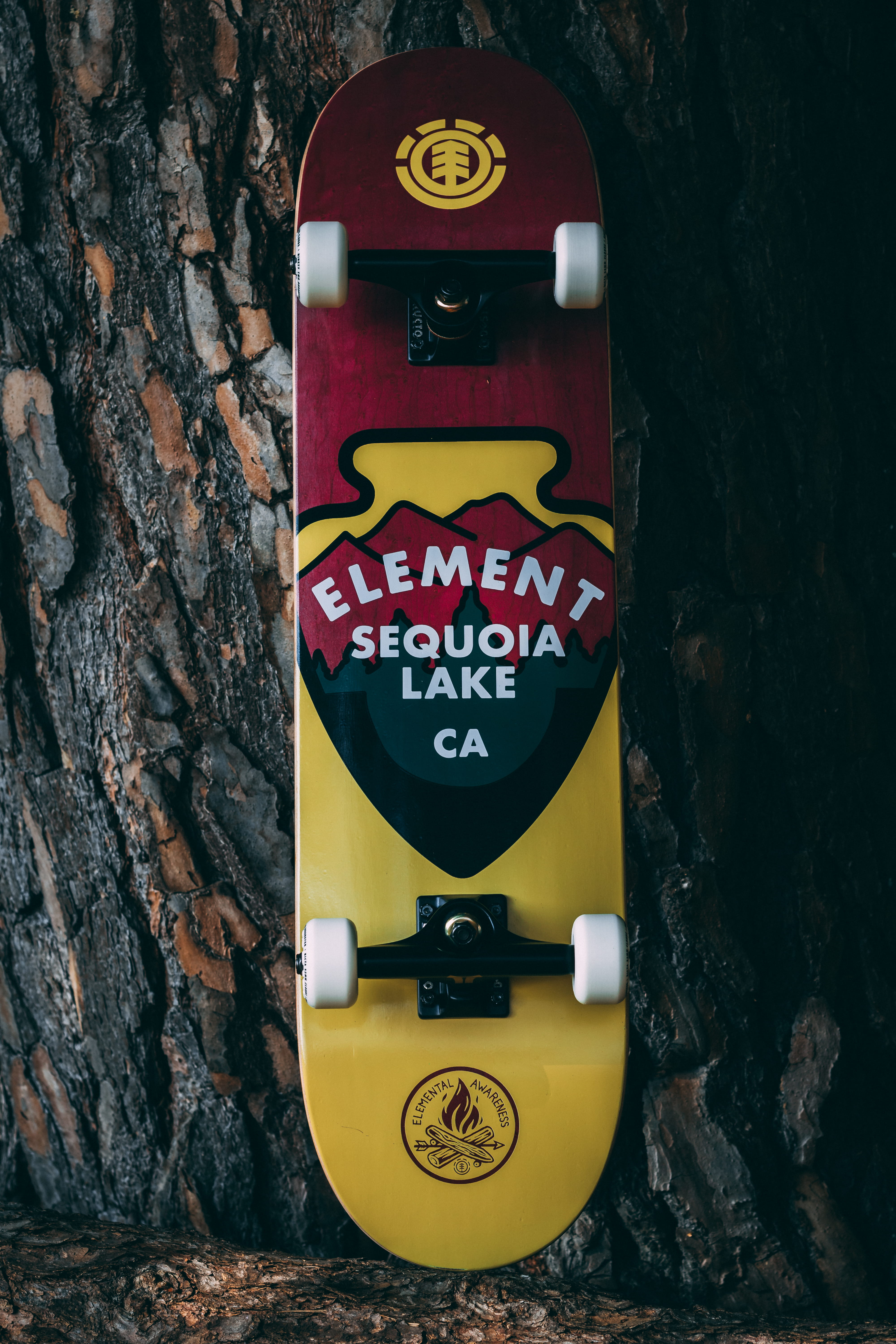 outdoors, clothing, skateboard, communication, lake, representation, human representation, element, pollen, art and craft, tree, plant, sleeve, close-up, Phone HD Wallpaper