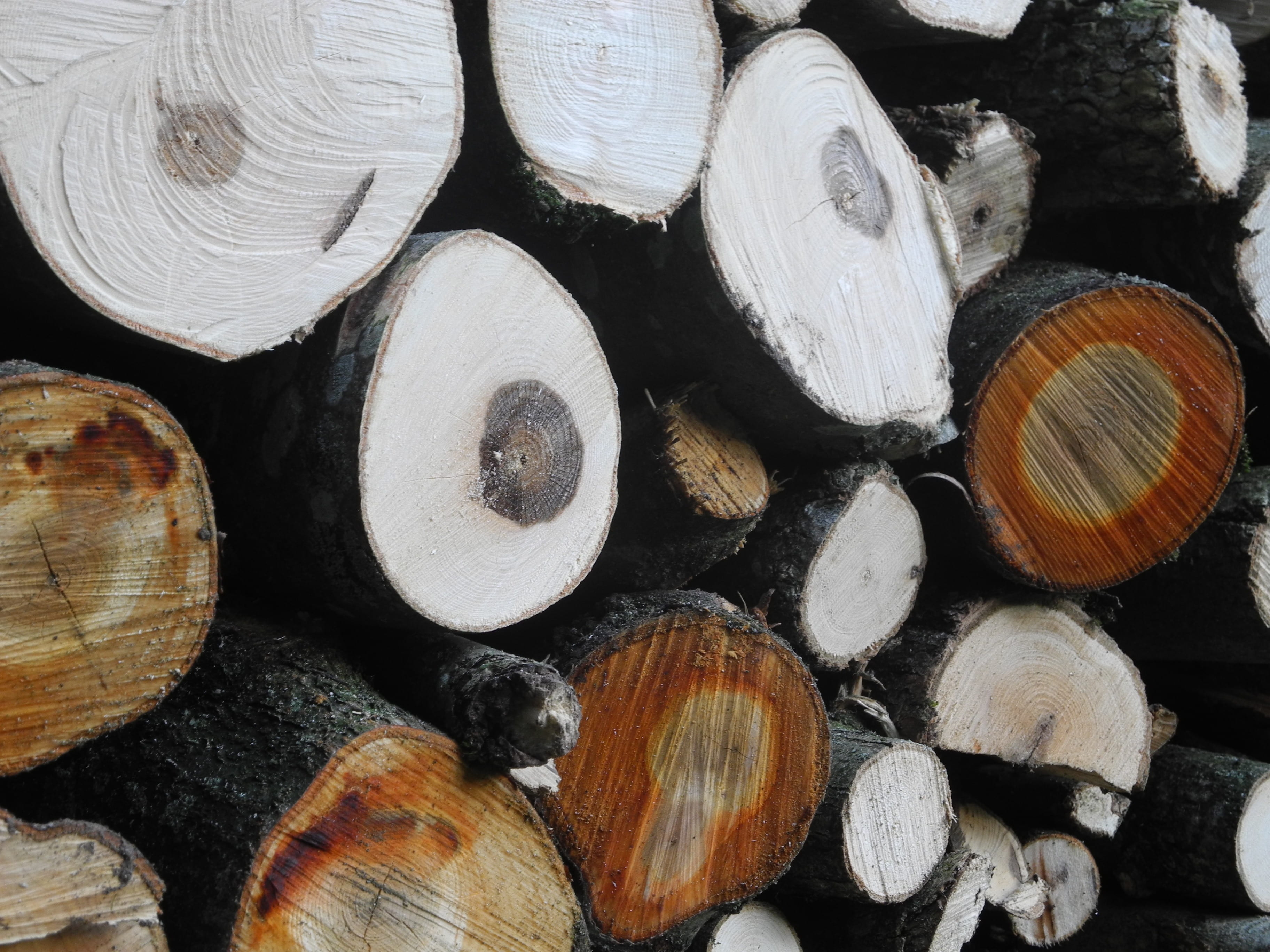 laminated wood, annual rings, fuel and power generation, tree trunks, wood - material, close-up, combs thread cutting, heap, stack, tree, log, no people, HD Wallpaper