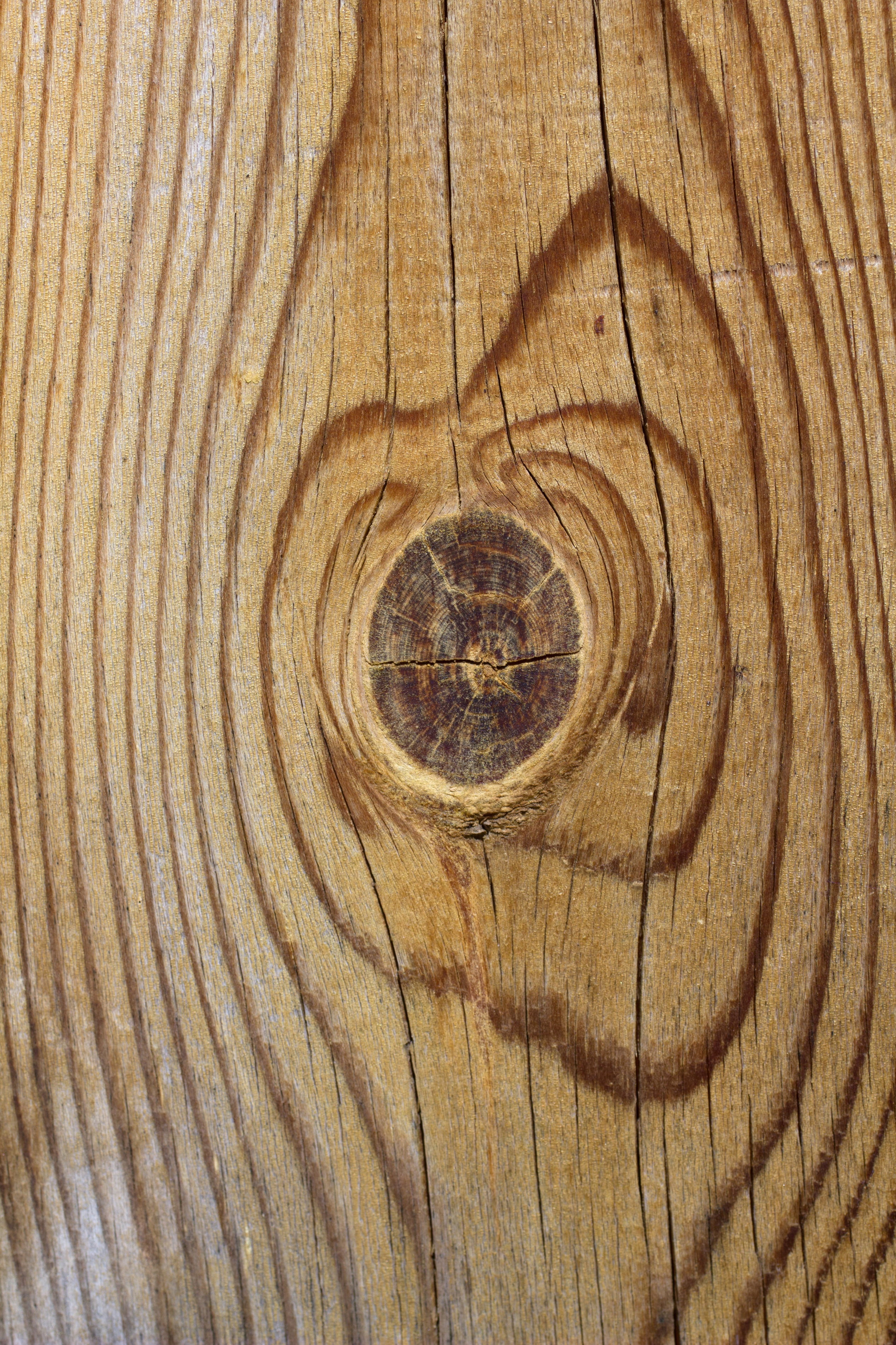 textured, brown, wood grain, sheet, outdoors, close-up, full frame, pine wood, wood - material, grain, rough, color, cracked, concentric, grained, stump, Phone HD Wallpaper