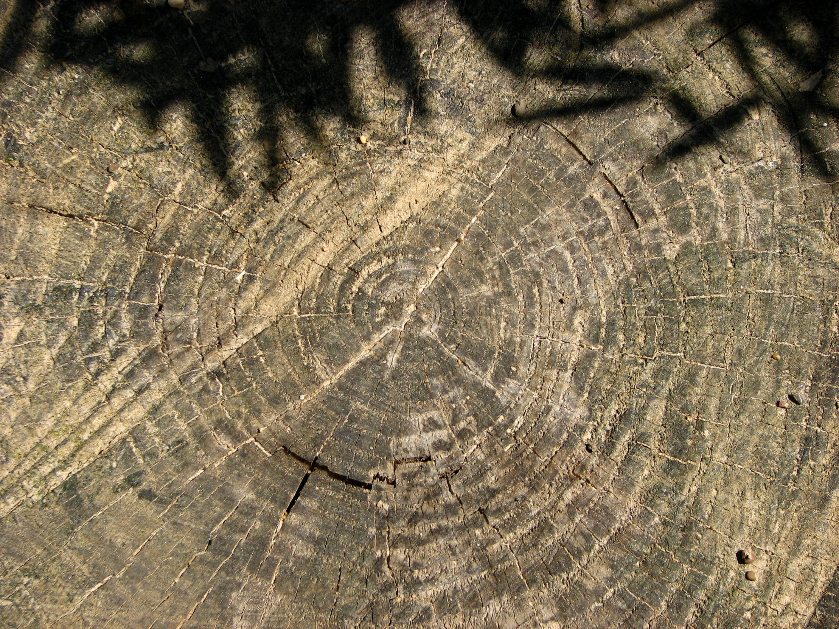 outdoors, shadow, tree grates, full frame, day, shape, lichtspiel, nature, brown, cracked, land, grain, textured, backgrounds, no people, pattern, old, HD Wallpaper