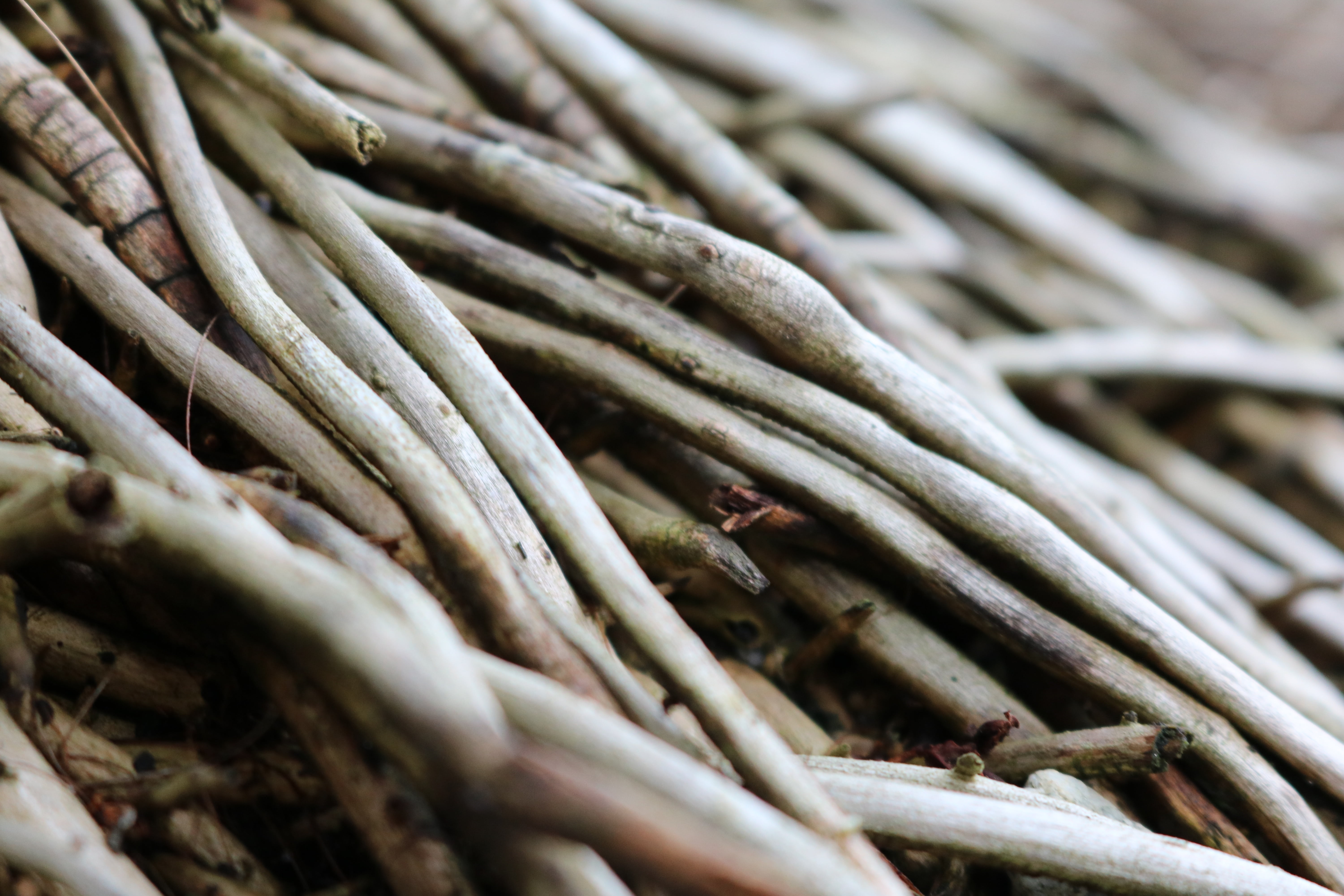 5K, large group of objects, food, still life, wood - material, freshness, aesthetic, pattern, brown, abundance, wooden structure, healthy eating, plant, HD Wallpaper