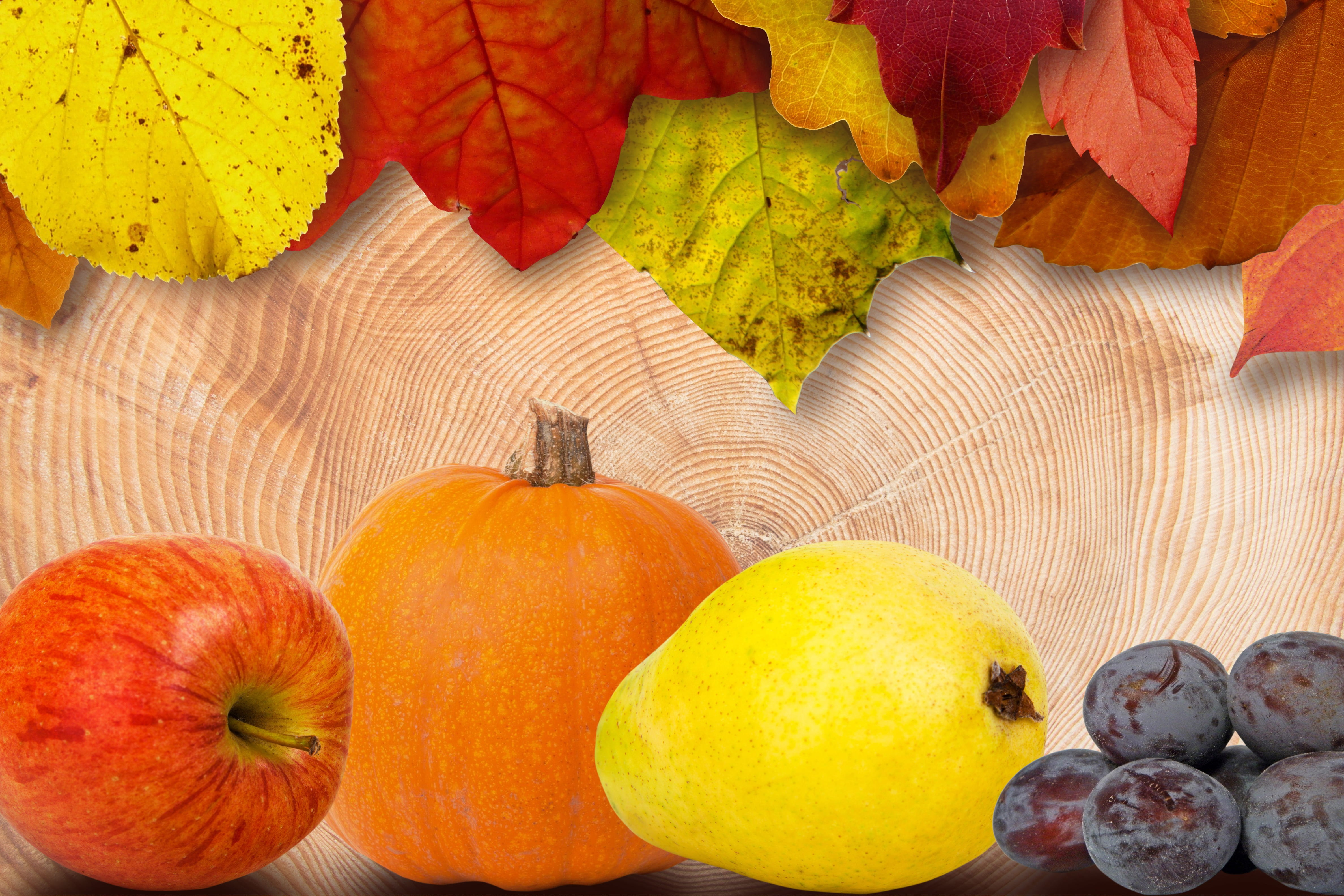 anthocyanin, healthy eating, recoloring the leaves, pear, red, harvest, violet, high angle view, fruit, large group of objects, fund, orange color, deco, HD Wallpaper