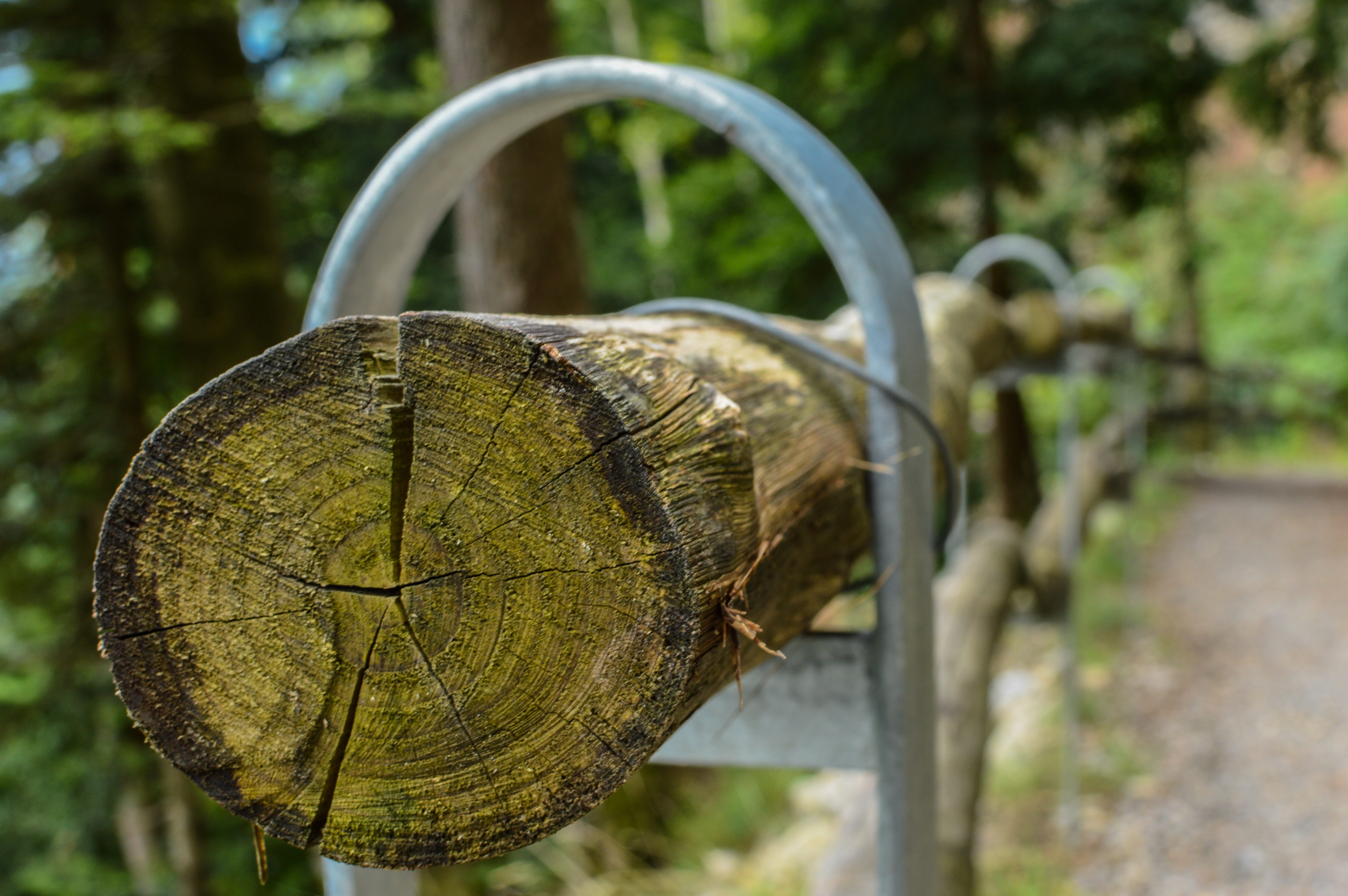 annual rings, barrier, wood - material, no people, food and drink, railing, structure, background, bark, agriculture, close, wooden structure, day, log, HD Wallpaper