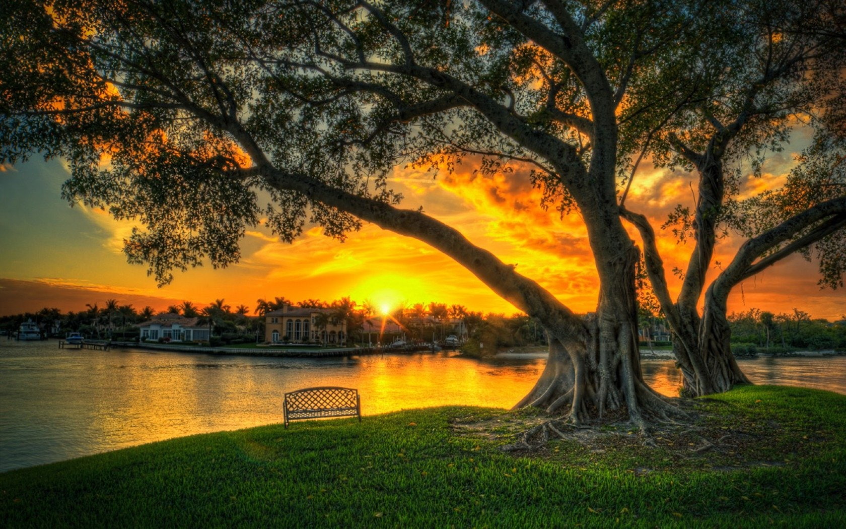 Sunset, Banyan Tree, Bench, Lake, Tree, 720P, Photography, Earth, HD Wallpaper