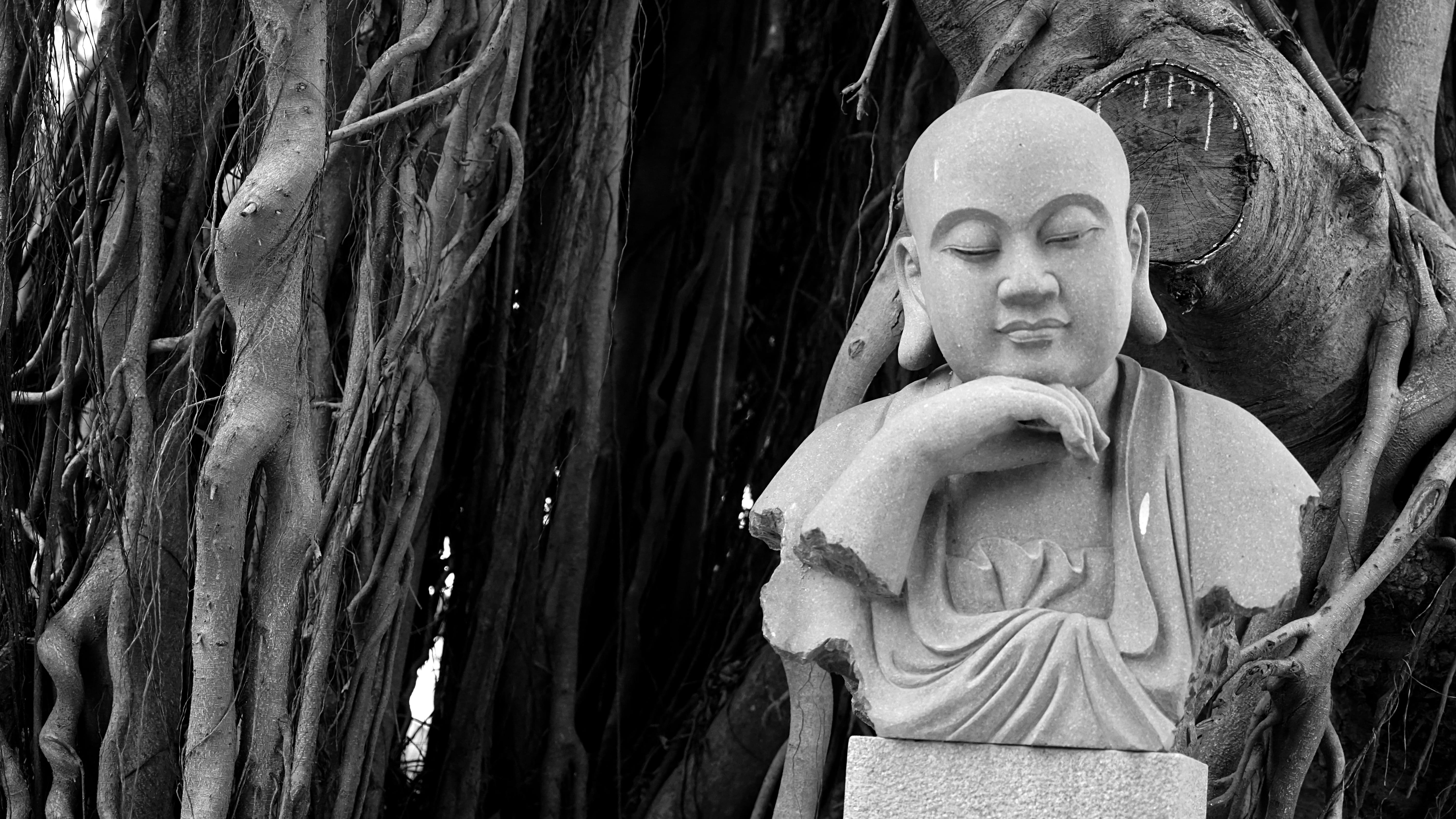 human representation, tree trunk, representation, tree, male likeness, belief, god, 5K, black and white, day, female likeness, art and craft, religion, HD Wallpaper