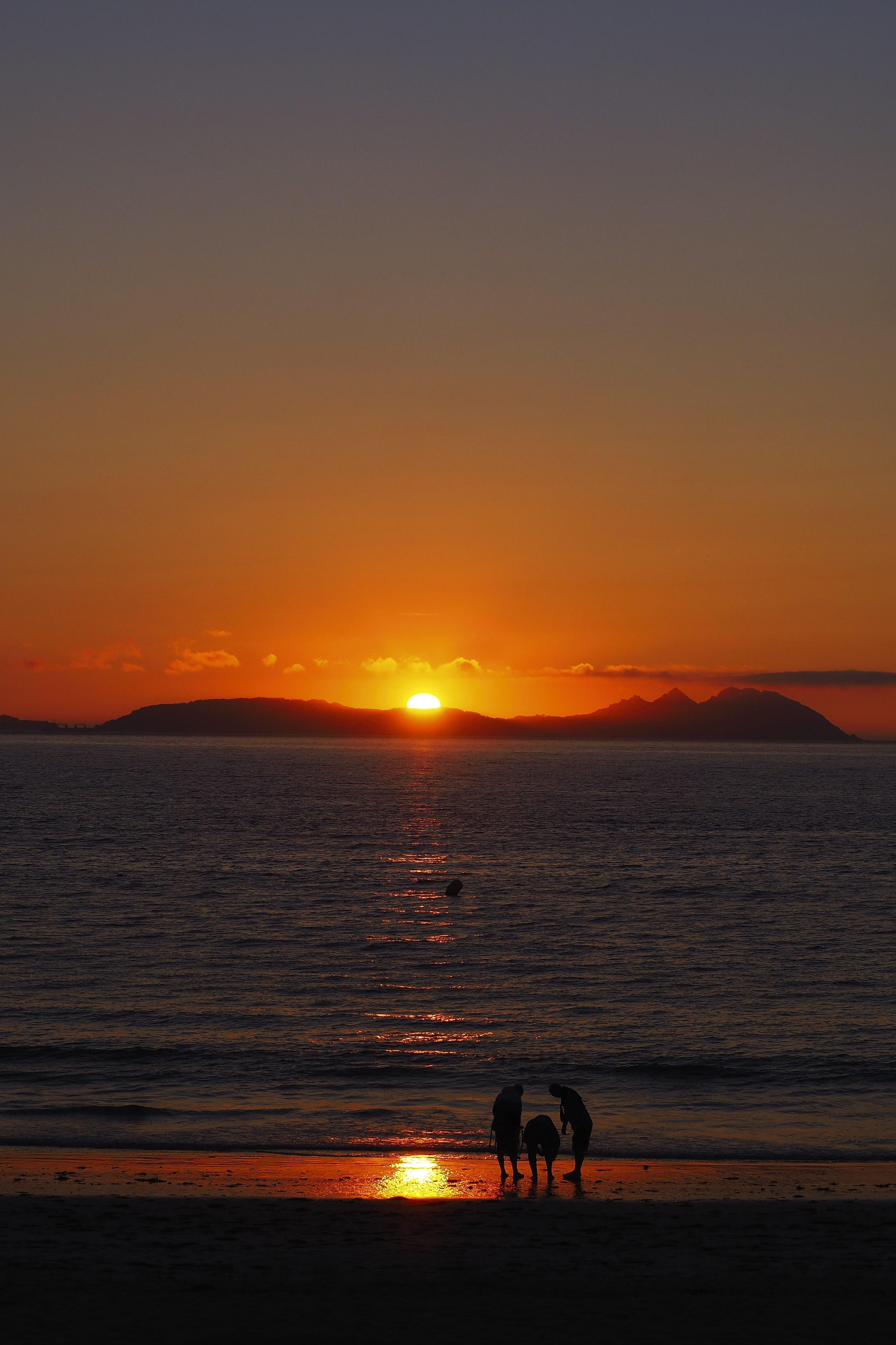 land, animal, samil, mammal, praia, water, domestic animals, teach, nature, orange color, sea, 4K, family, red, vigo, beauty in nature, sun, friendship, Phone HD Wallpaper
