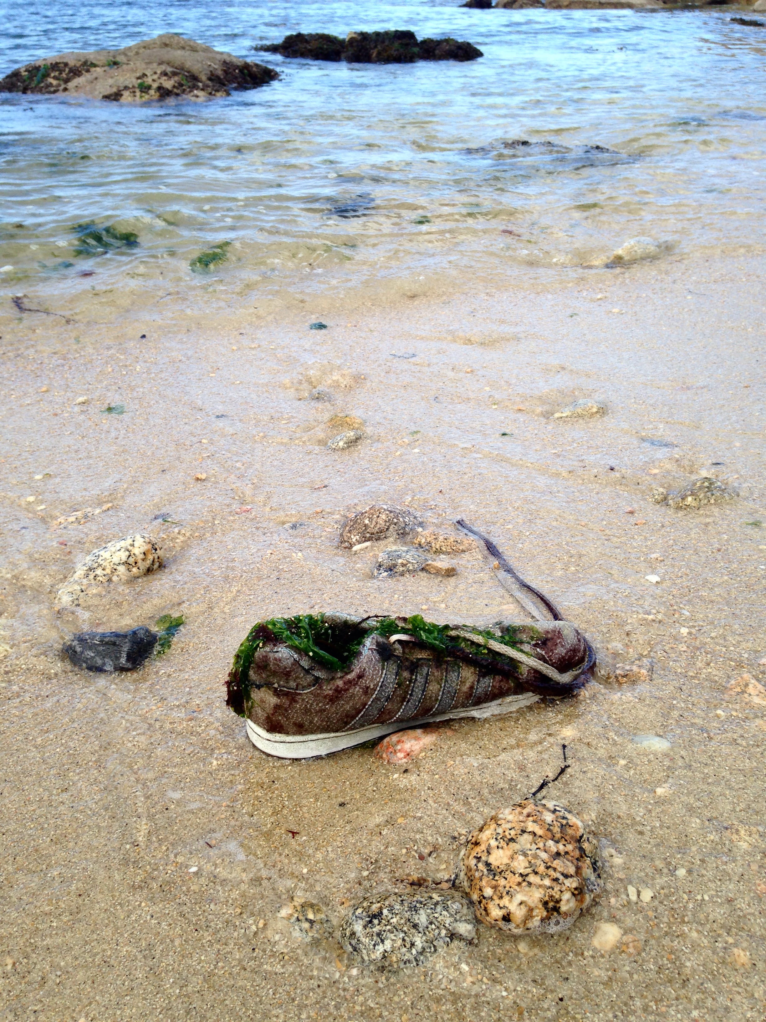 copyspace, seaweed, high angle view, beauty in nature, marine, abandoned, land, footwear, vigo, sea, animal themes, animal wildlife, no people, outdoors, Phone HD Wallpaper