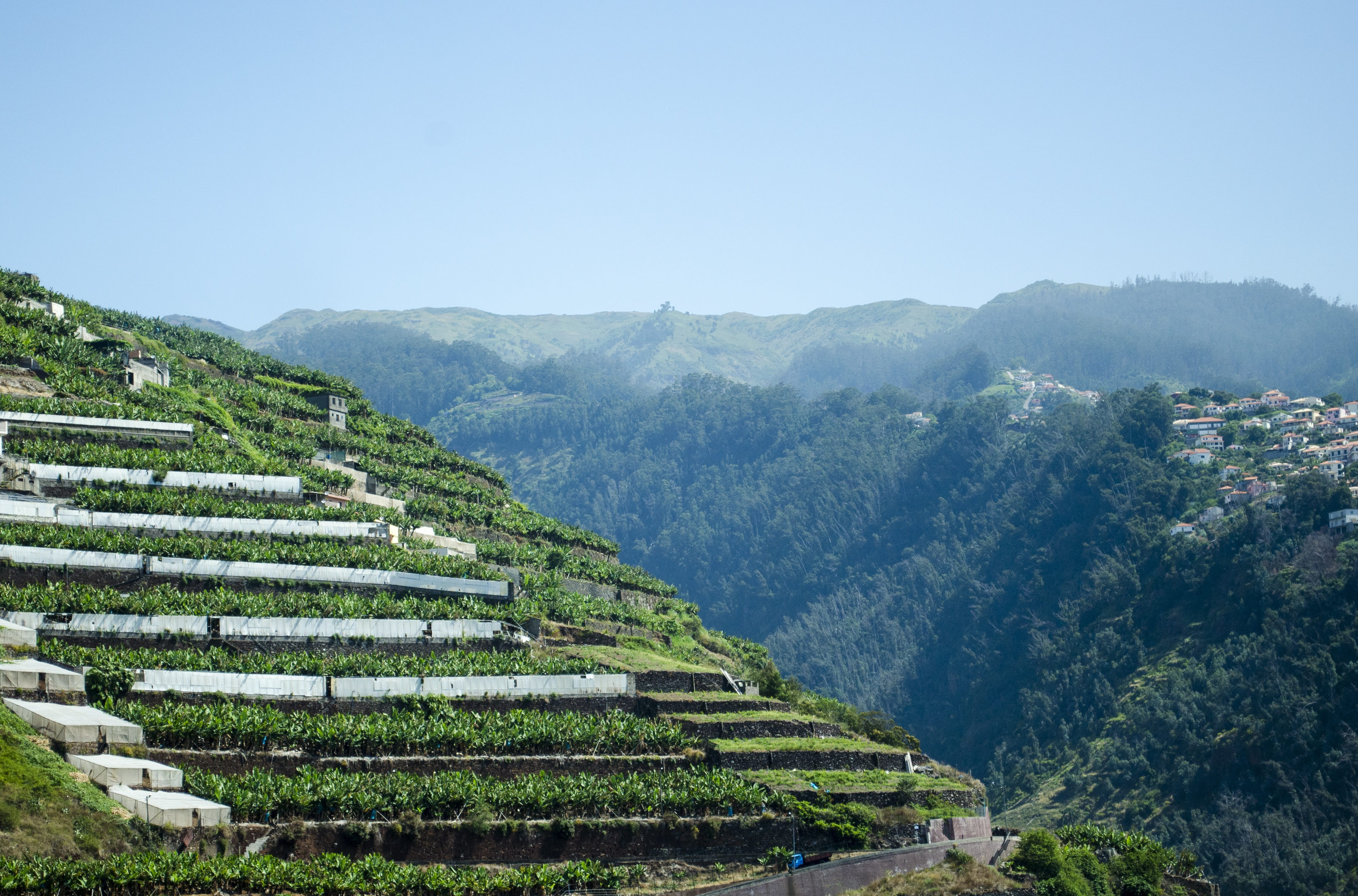 beauty in nature, plantation, sky, no people, environment, architecture, agriculture, mountain, tea, portugal, plant, nature, field, outdoors, tea crop, HD Wallpaper