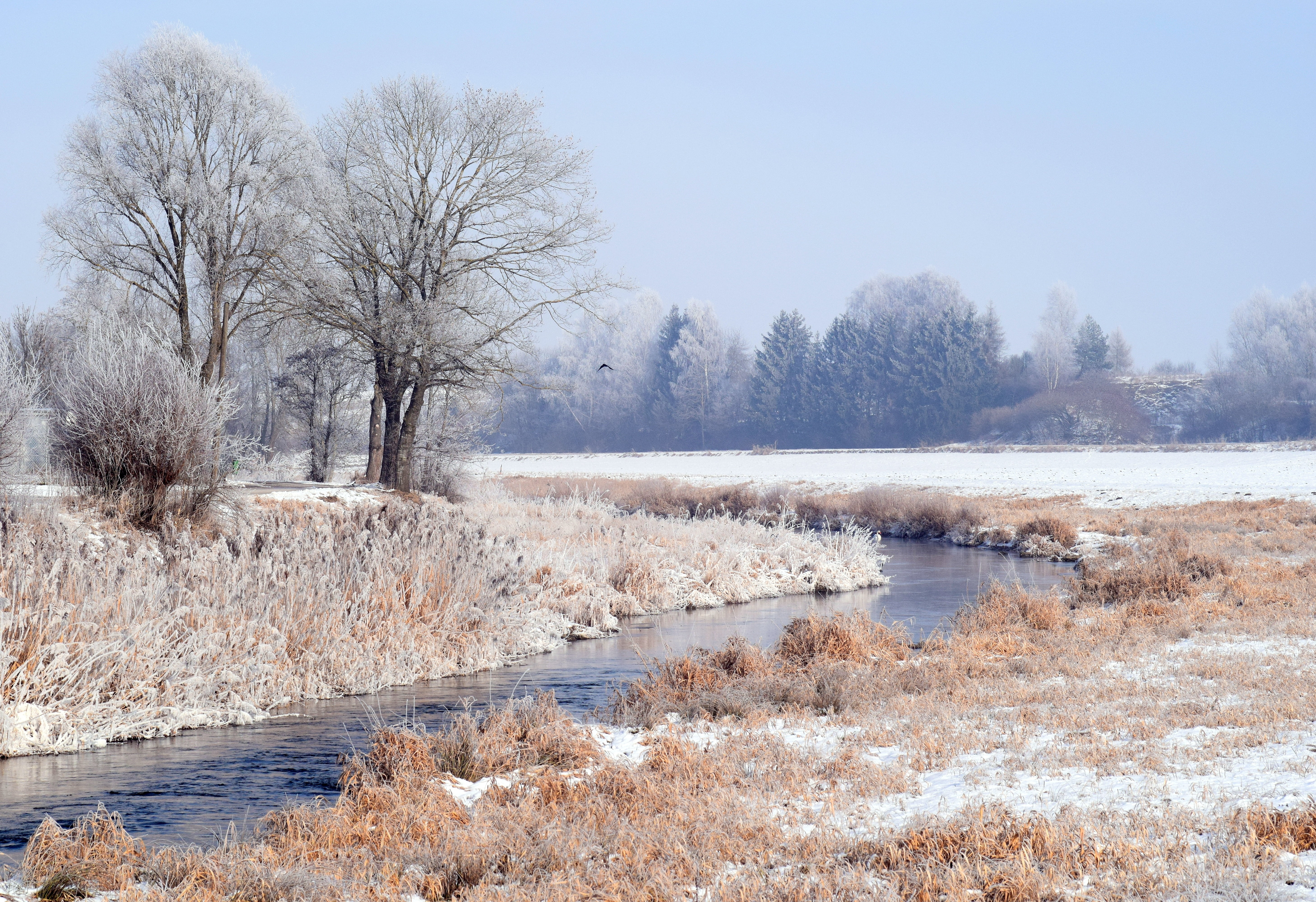winter, bavaria, grass, river, ice, scenics - nature, non-urban scene, tree, beauty in nature, kahl, tranquil scene, wintry, beautiful, cold, environment, HD Wallpaper