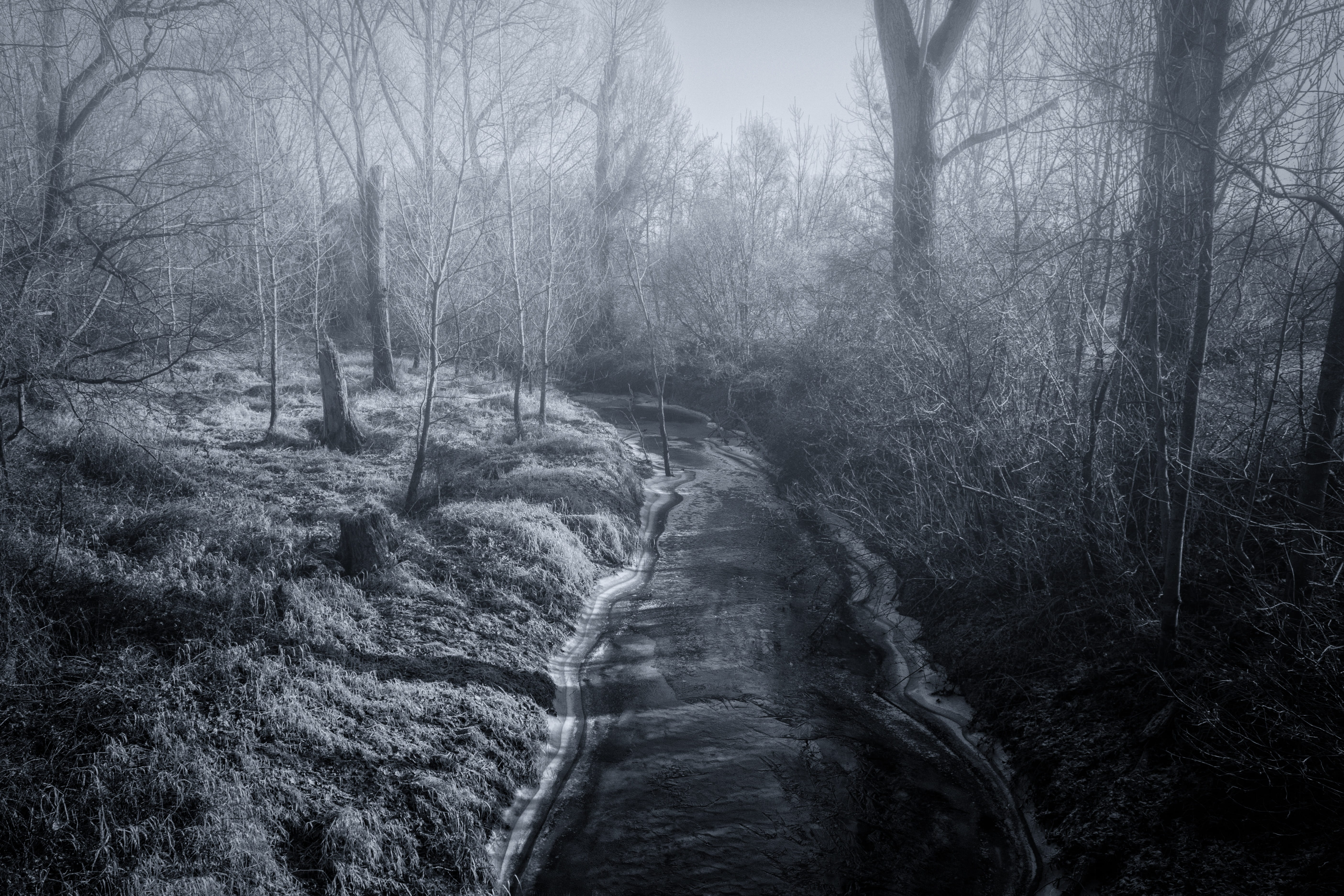 landscape, mood, black and white, tree, rest, beauty in nature, scenics - nature, colourless, wintry, withered, nature, land, trees, gloomy, bare tree, HD Wallpaper