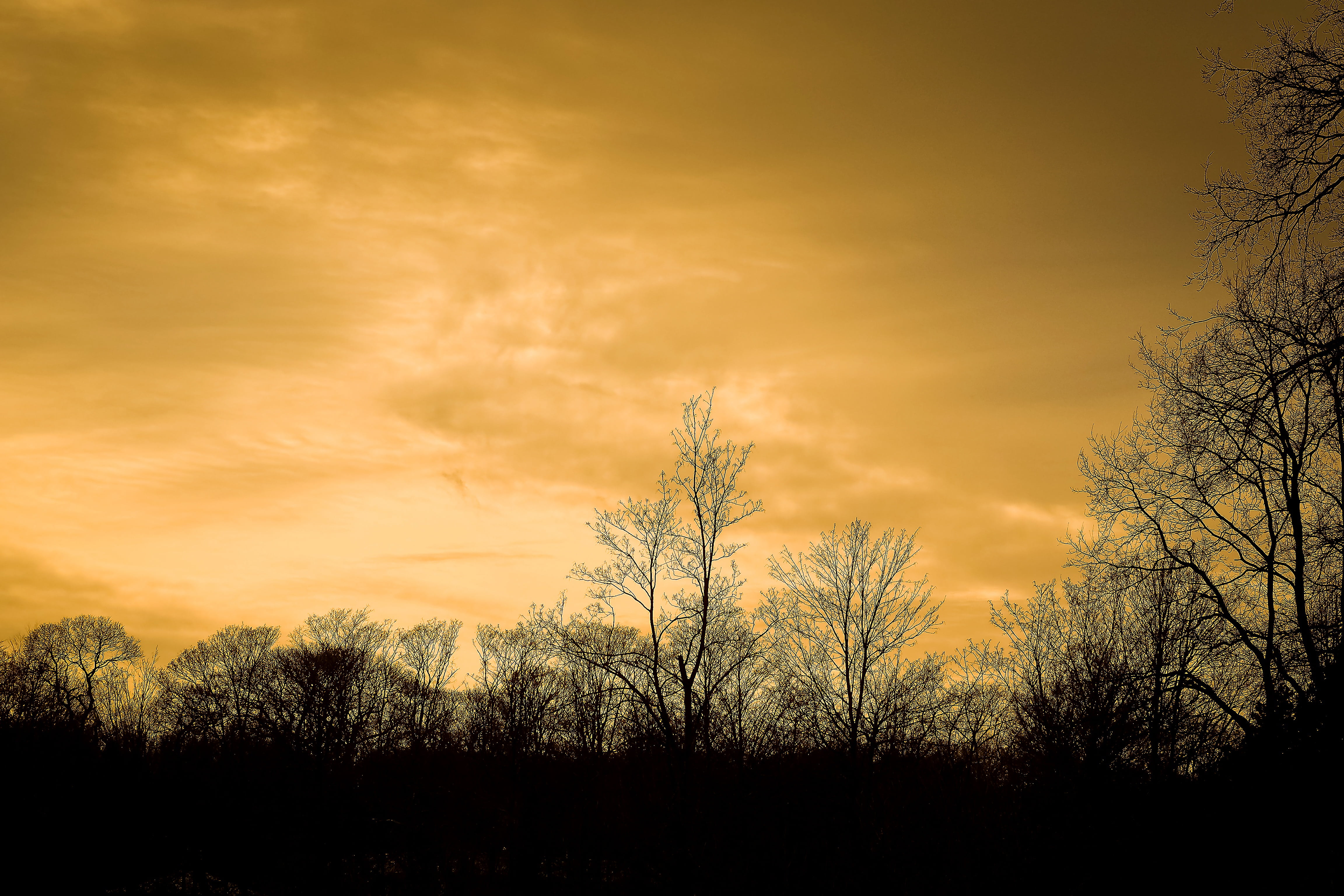 dark, field, orange, landscape, afterglow, dramatic sky, abendstimmung, tranquility, silhouette, bright, outdoors, environment, mood, trees, manicuring, HD Wallpaper