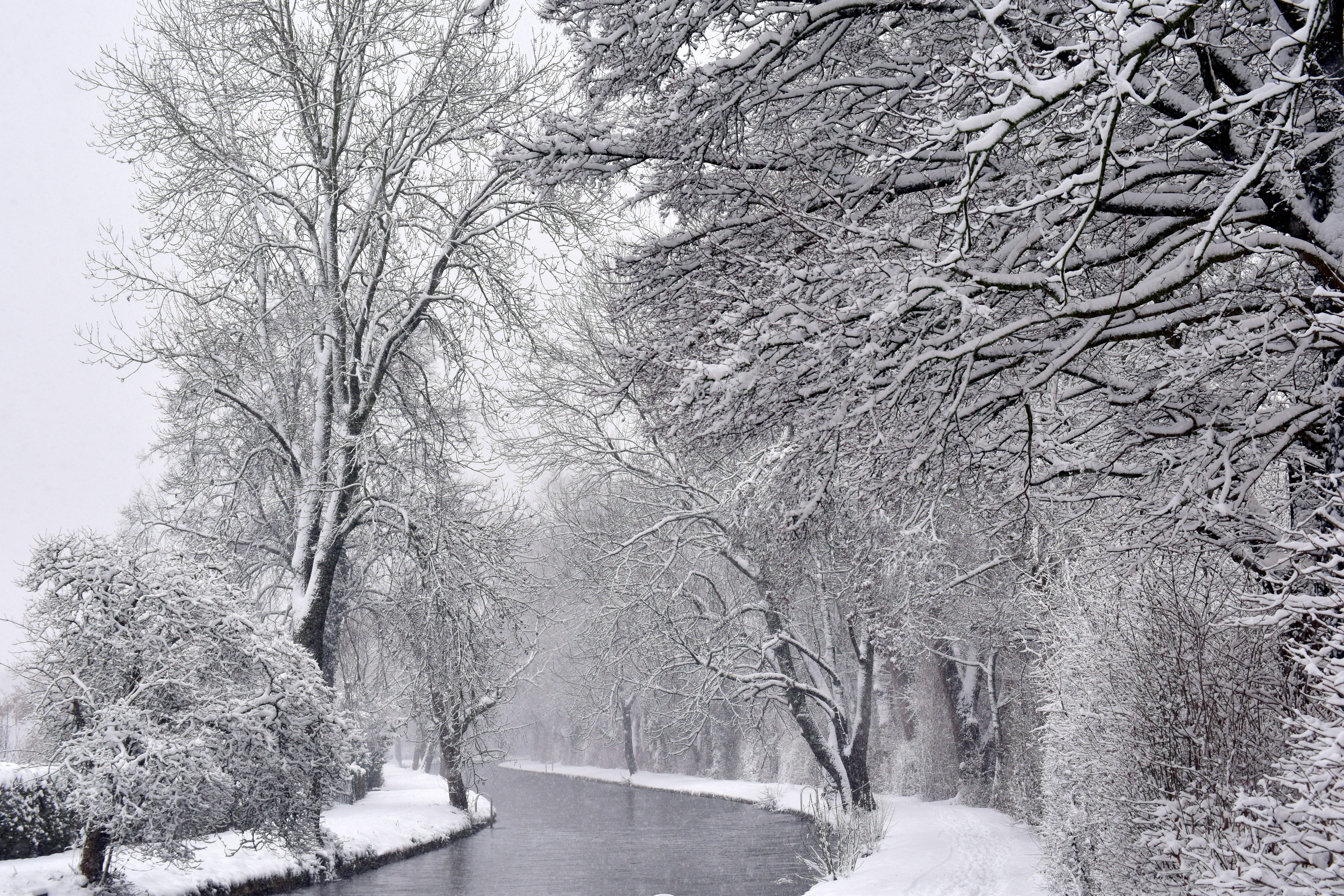 scenics - nature, blizzard, allotments, tree, plant, 5K, day, cold temperature, tranquil scene, frozen, trees, bach, bare tree, flow, no people, covered, HD Wallpaper