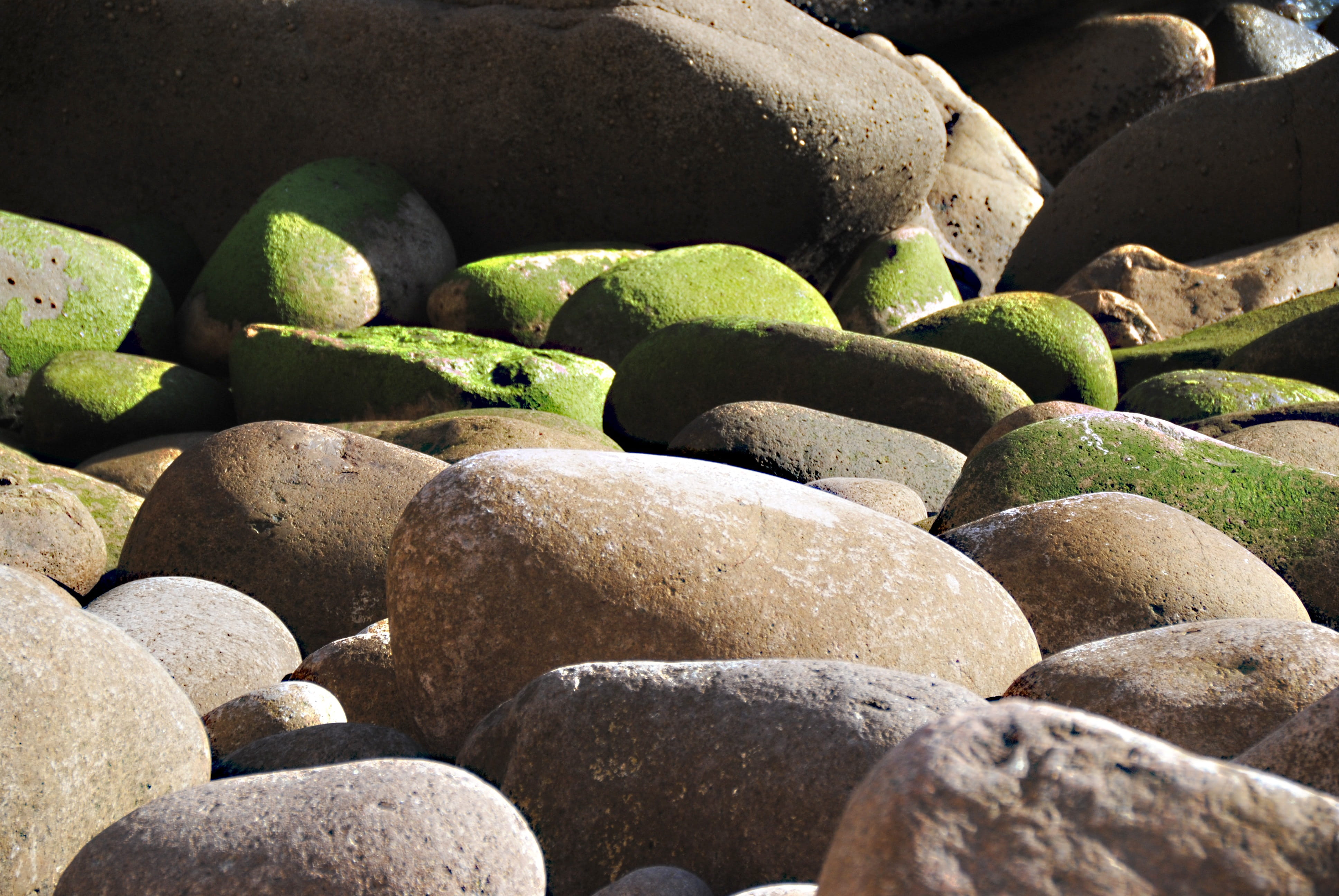 green color, round, still life, rock, sea, riesen, 4K, pebble, natural stones, moss, backgrounds, solid, rock - object, textured, stone, vacations, high angle view, HD Wallpaper
