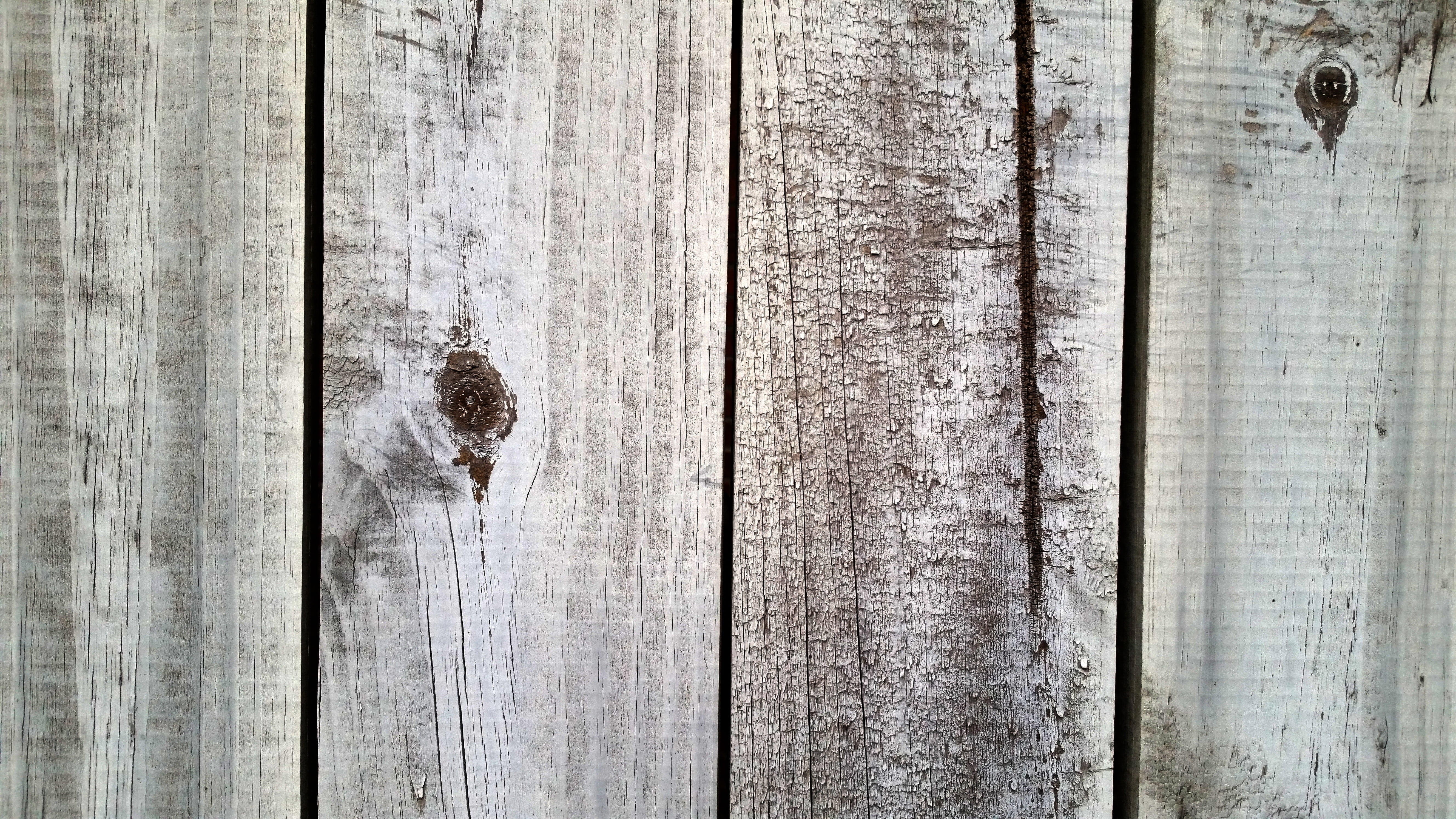 wooden, backgrounds, no people, outdoors, door, entrance, metal, brown, old, animal, wood texture, wood grain, 5K, gray, full frame, texture, wood, fence, HD Wallpaper