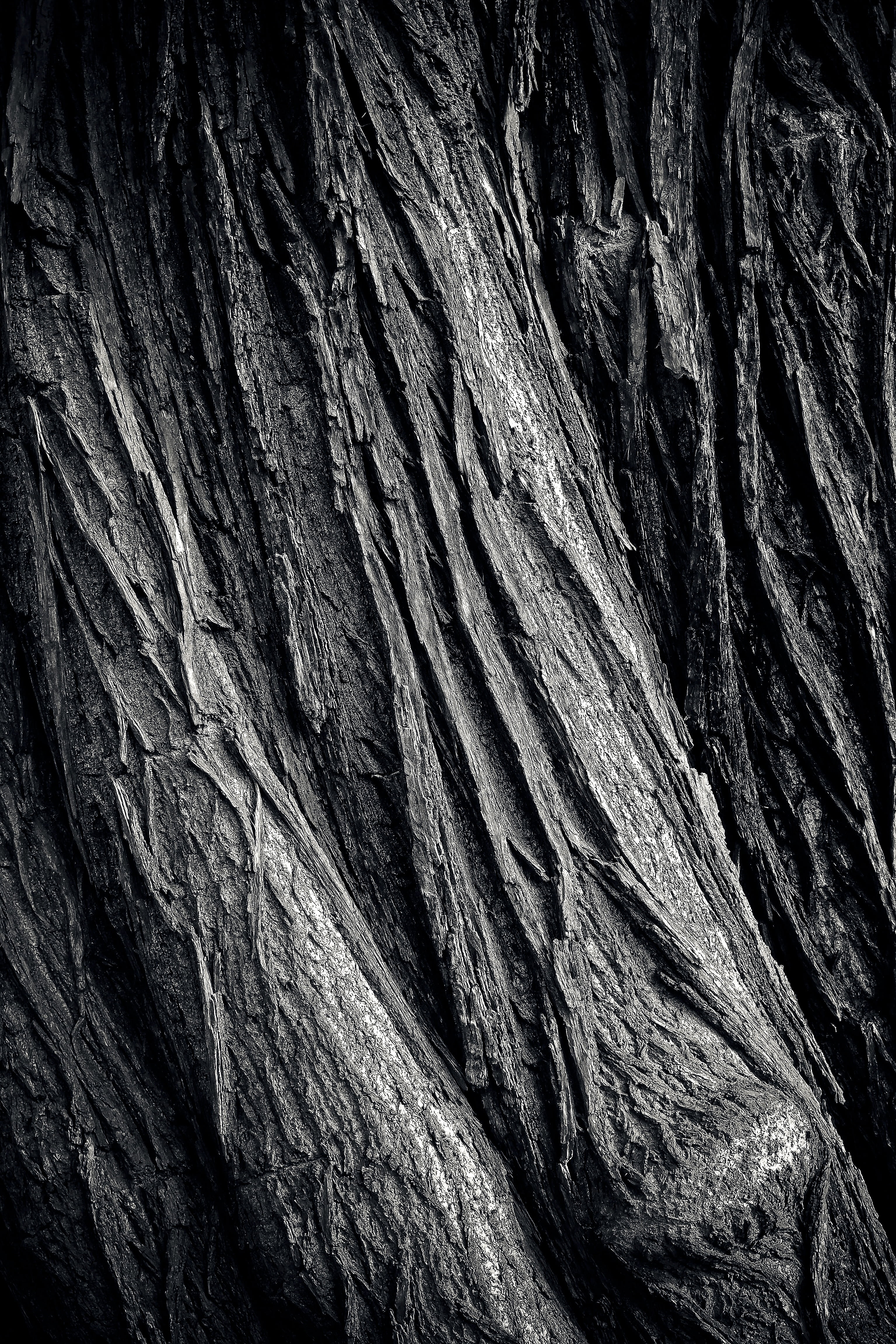 black, no people, old, day, outdoors, weathering, textured effect, wood, rock - object, textured, sandstone, rock, black white, shades of brown, bark, white, Phone HD Wallpaper