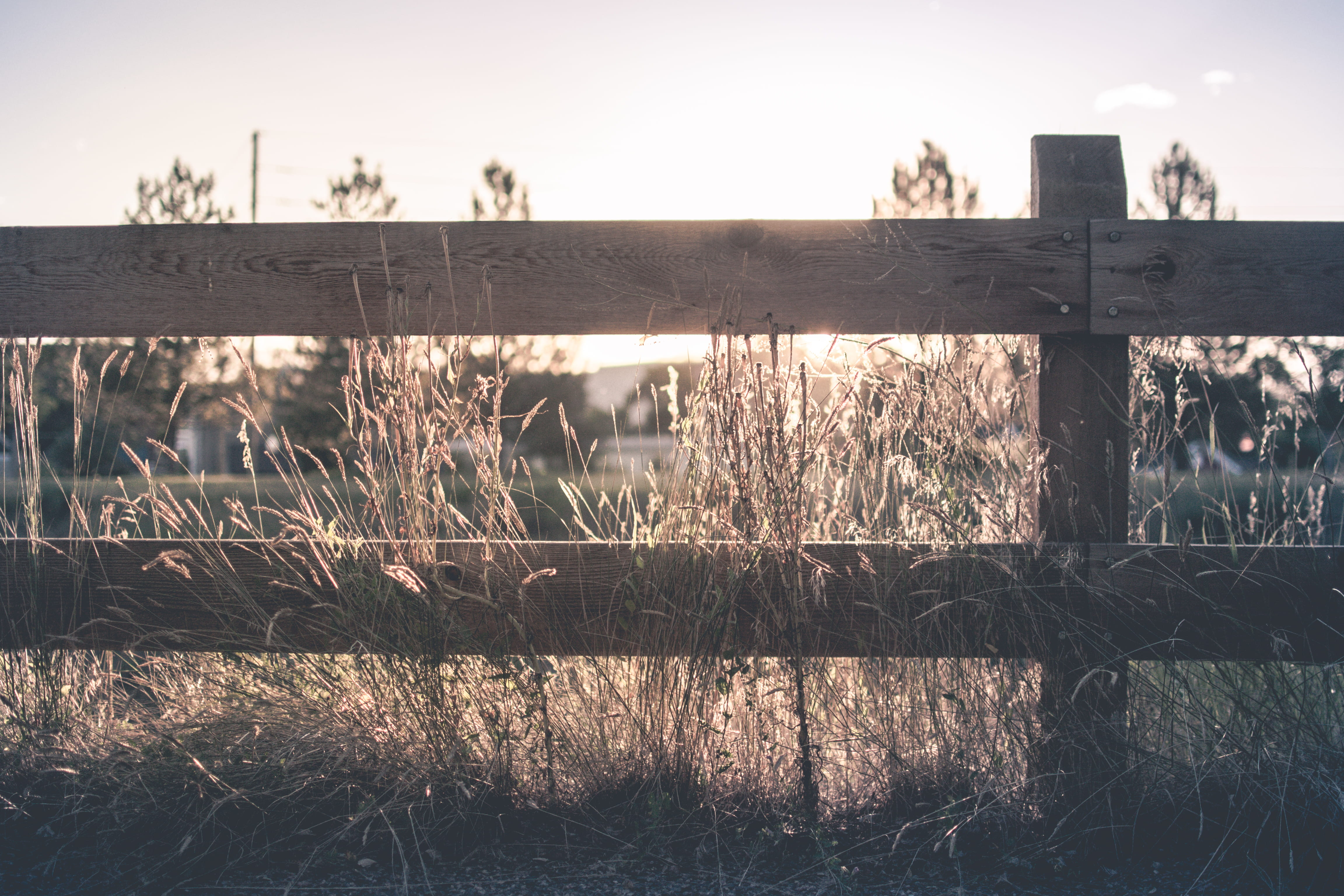 outdoors, evening, golden hour, field, wood - material, brown, knothole, sky, protection, fence, no people, near, sun, sunrise, nail, nature, water, 4K, HD Wallpaper