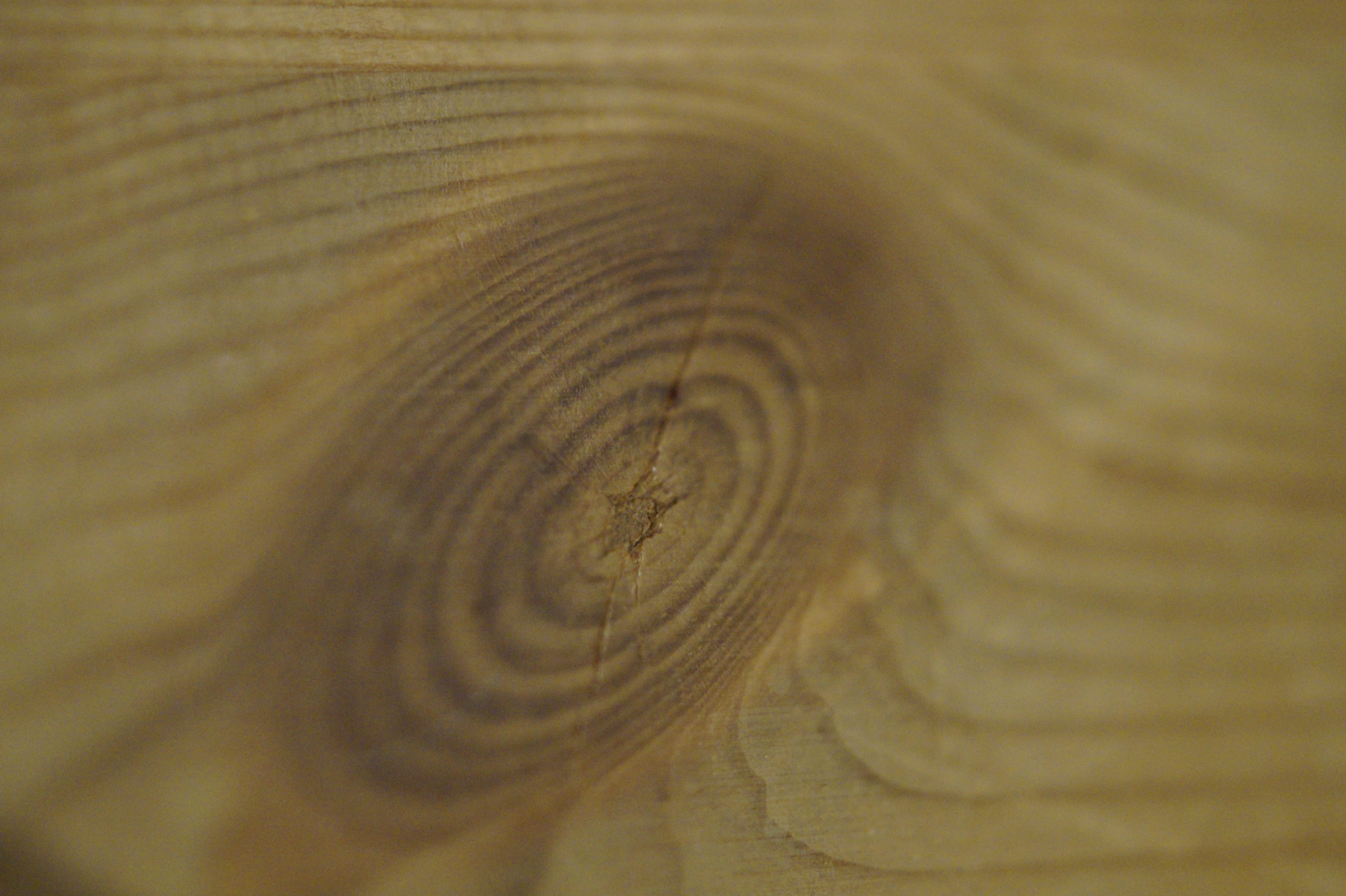 pattern, close-up, design, spiral, selective focus, backgrounds, textured, tree ring, shape, full frame, indoors, wood - material, Annual Rings, branch, HD Wallpaper
