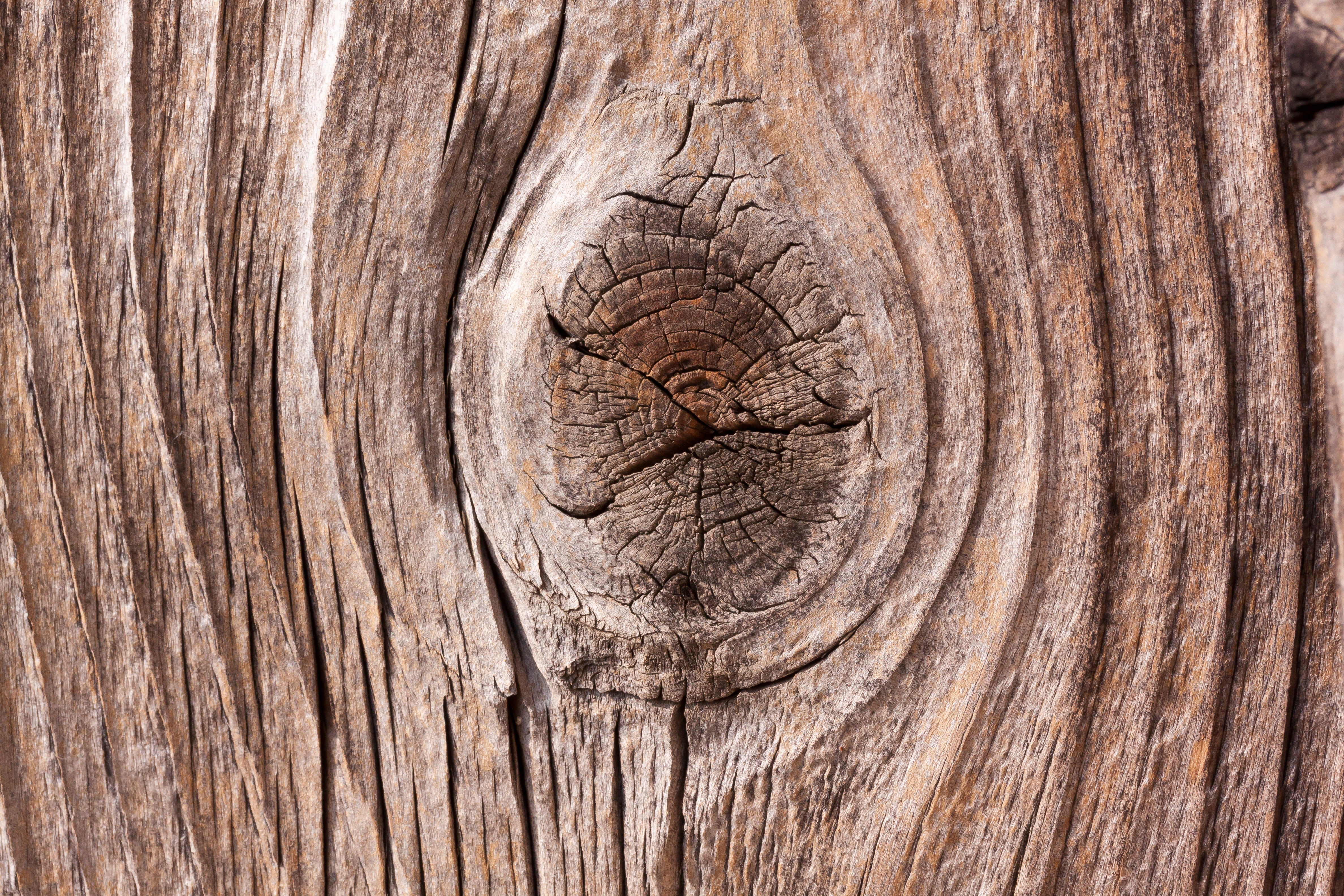 goal, timber, trunk, barn, nature, tree trunk, 4K, closeup, wood - material, wood, wood grain, weathered, fund, scale, brown, tree, textured, wooden, board, HD Wallpaper