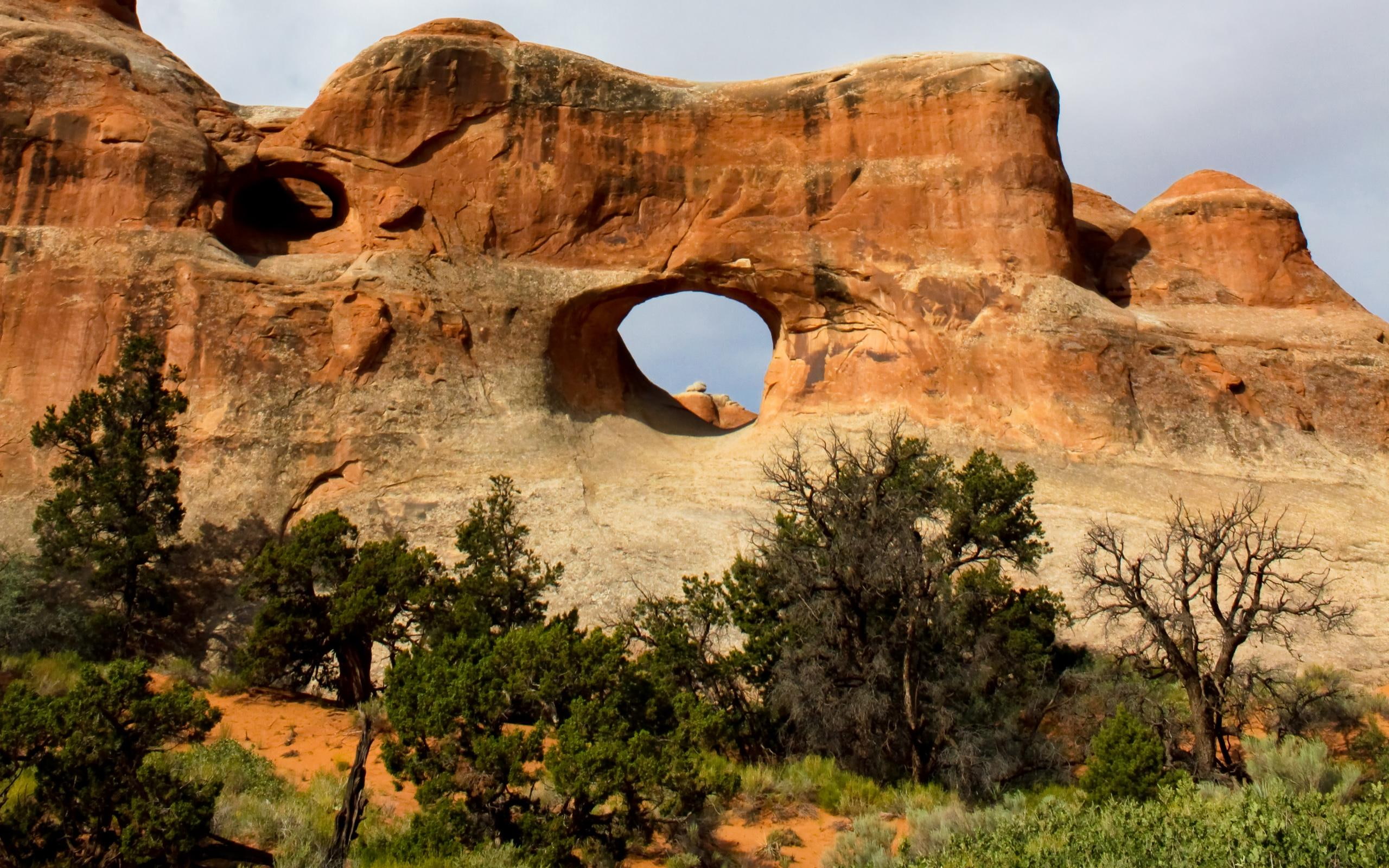 trees, shrubs, rock formation, 2K, erosion, 3d and abstract, natural, rock, hole, cave, HD Wallpaper