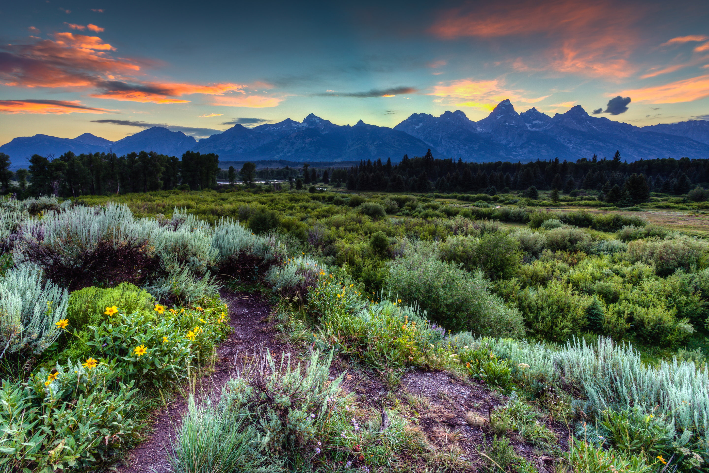 mountains, USA, trees, 2K, grass, flowers, Grand Teton National Park, Wyoming, sunset, the sky, Jackson Hole, forest, clouds, HD Wallpaper