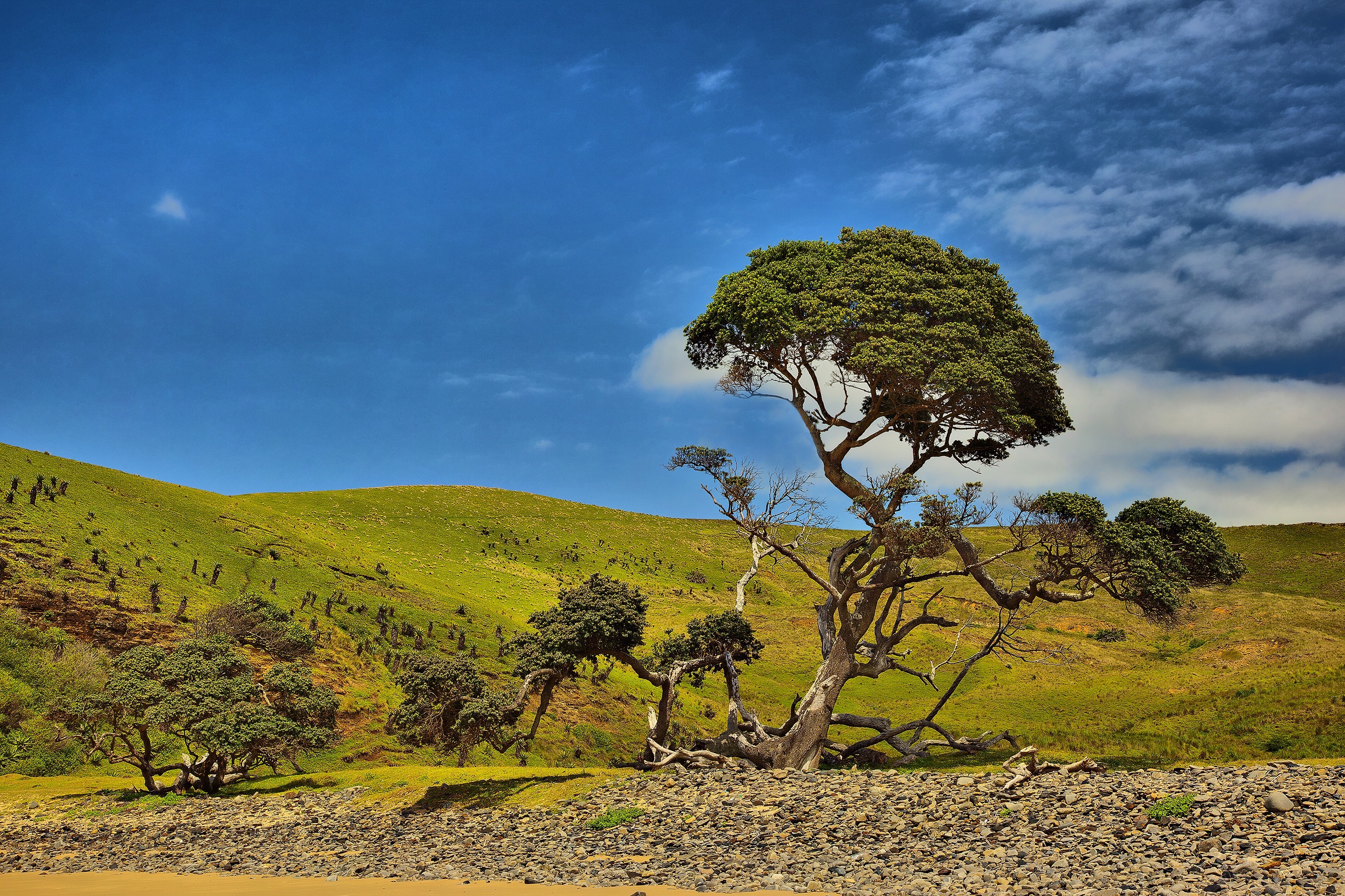 beauty in nature, grass, blue sky, land, no people, leafed, non-urban scene, mountain, green, green color, cloud - sky, hole in the wall, field, tree, scenics - nature, HD Wallpaper