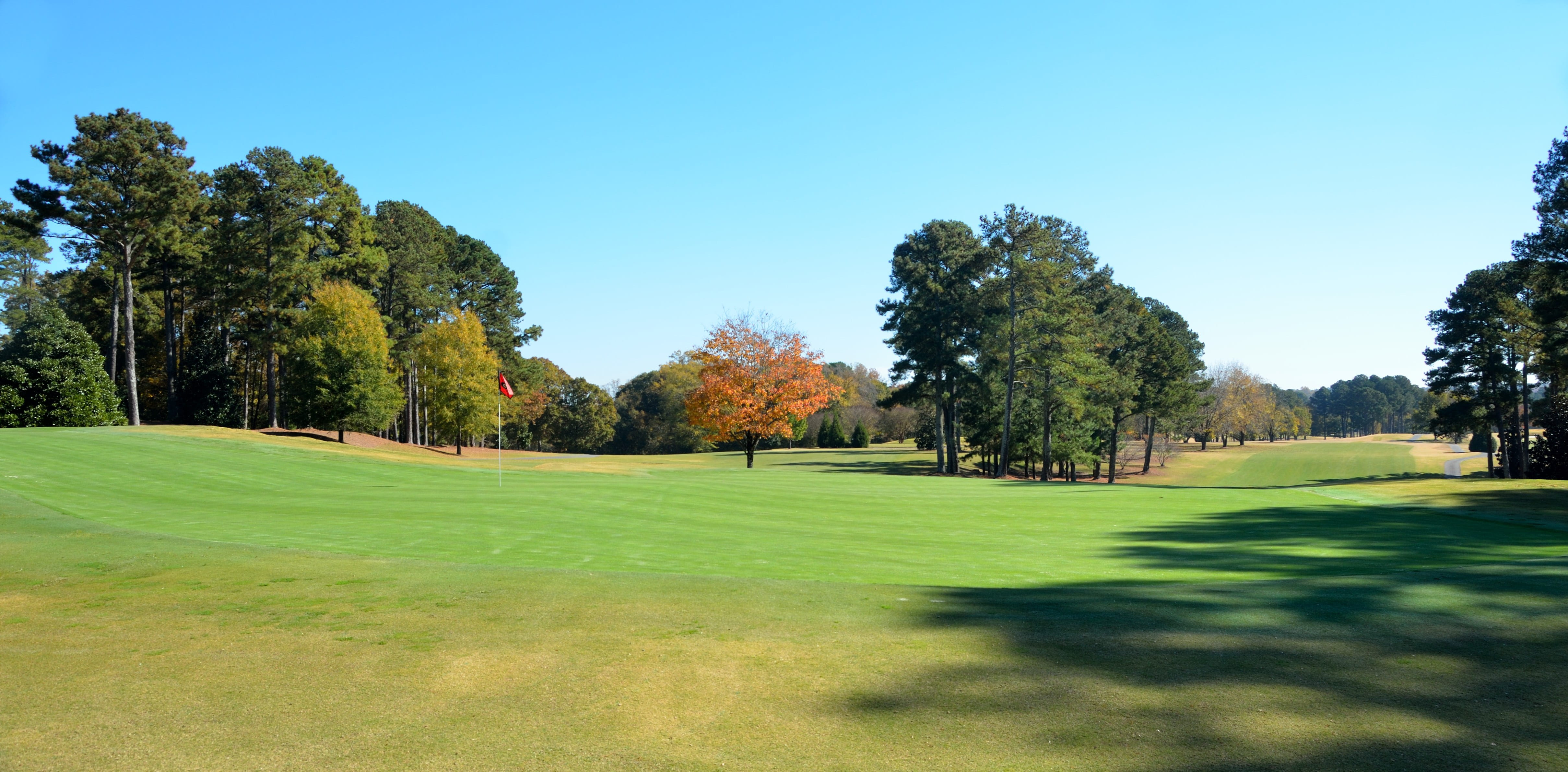 fairway, golfer, plant, golf course, sport, green color, green - golf course, nature, leisure activity, landscape, tree, course, 4K, beauty in nature, HD Wallpaper