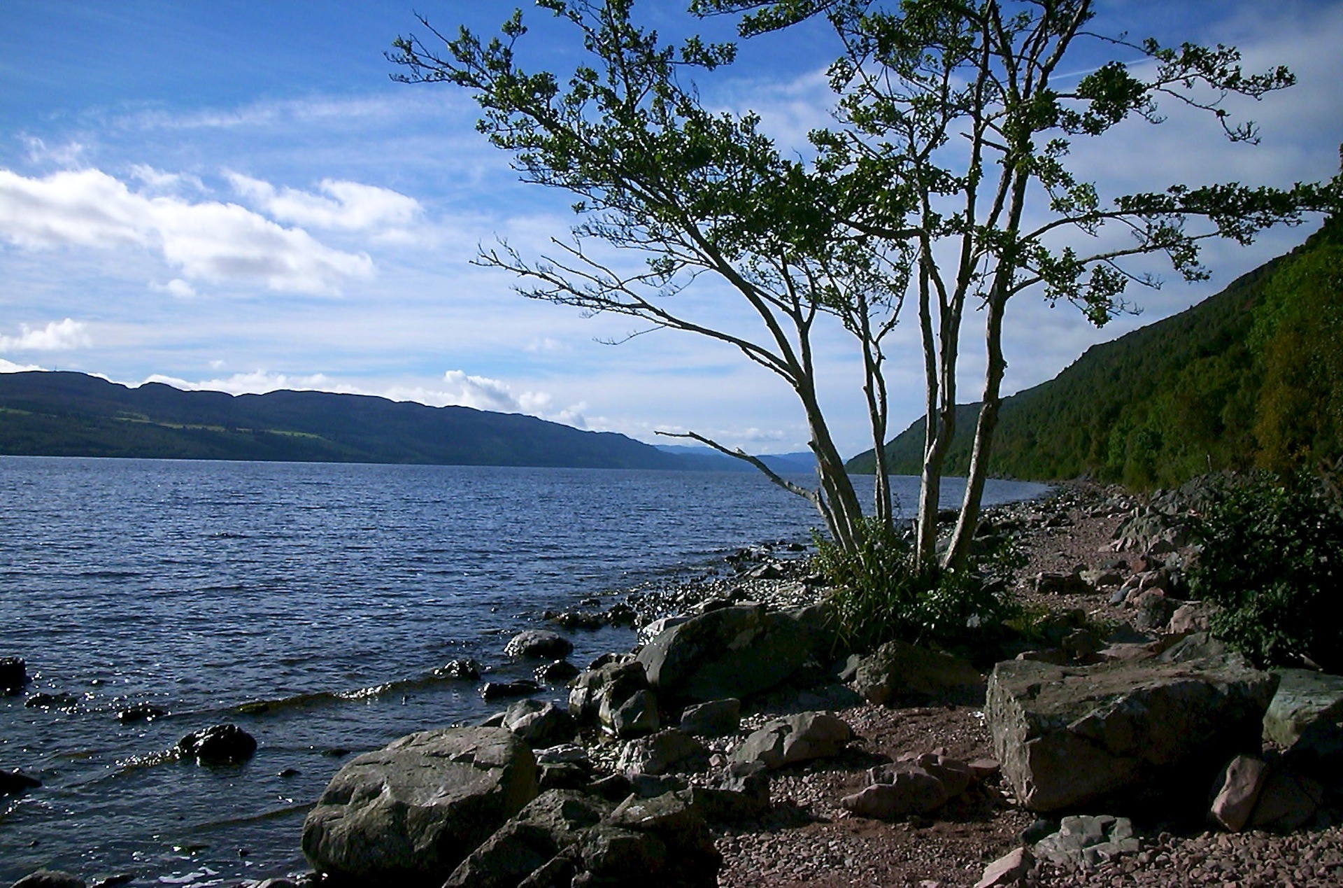 plant, lake, loch ness, scenics - nature, tree, tranquility, green, sea, land, no people, leafed, sky, rocky coastline, beside, outdoors, hole, scotland, HD Wallpaper