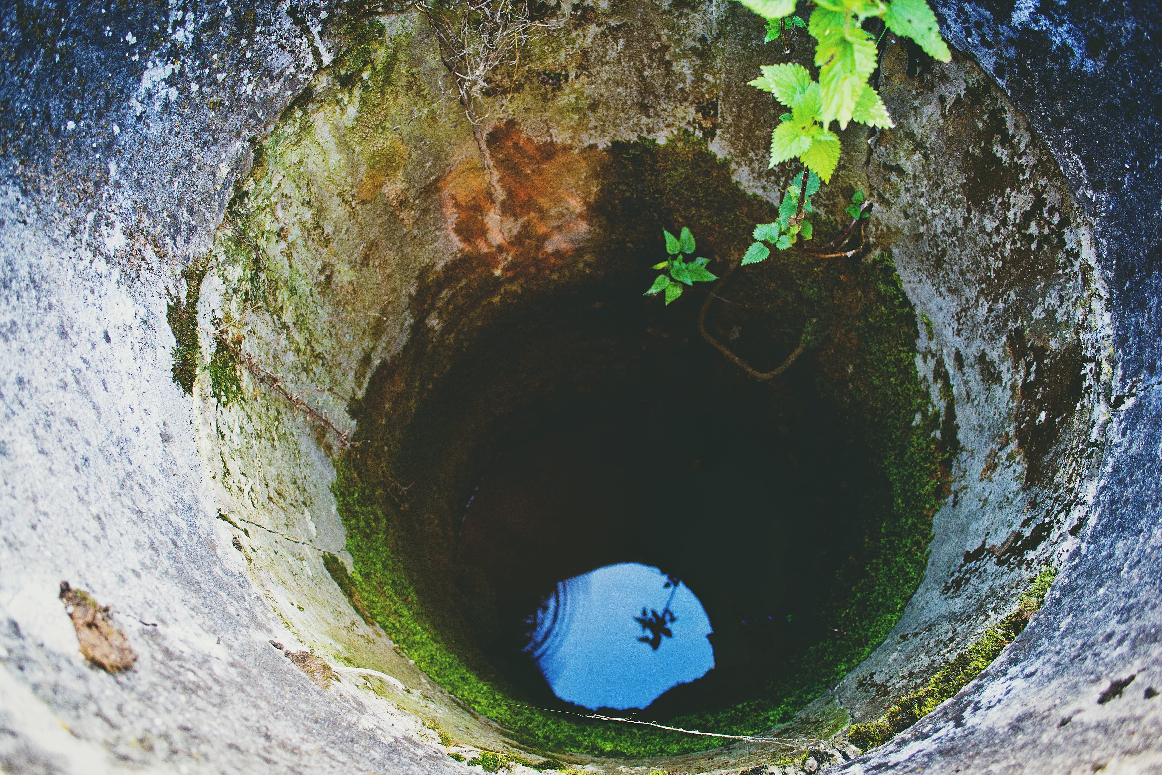 tunnel, 4K, outdoors, architecture, summer, city, plant, circle, day, water, old, nature, arch, well, built structure, deep, shape, tree, hole, vines, HD Wallpaper