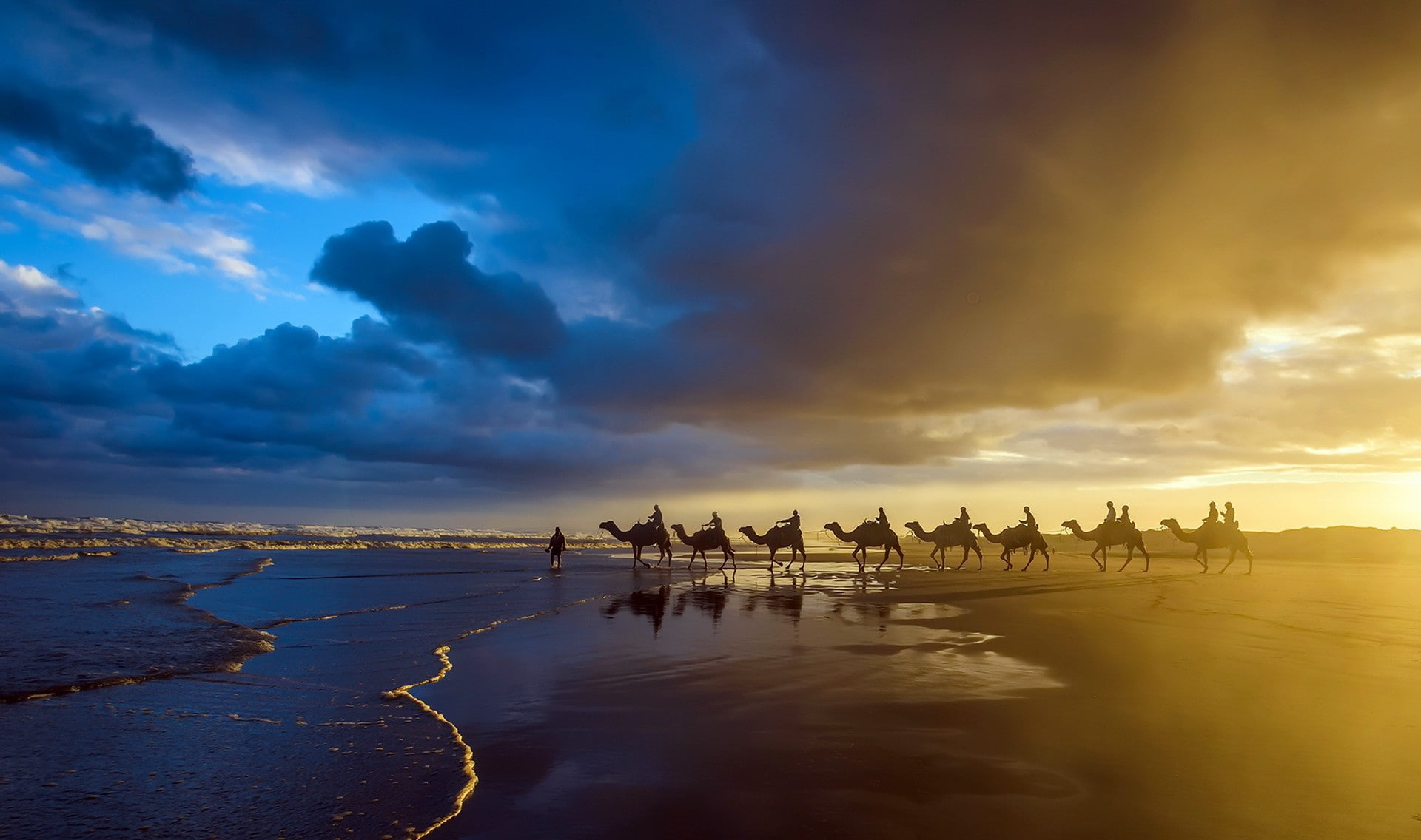 sunset, 1080P, photography, camels, HD Wallpaper