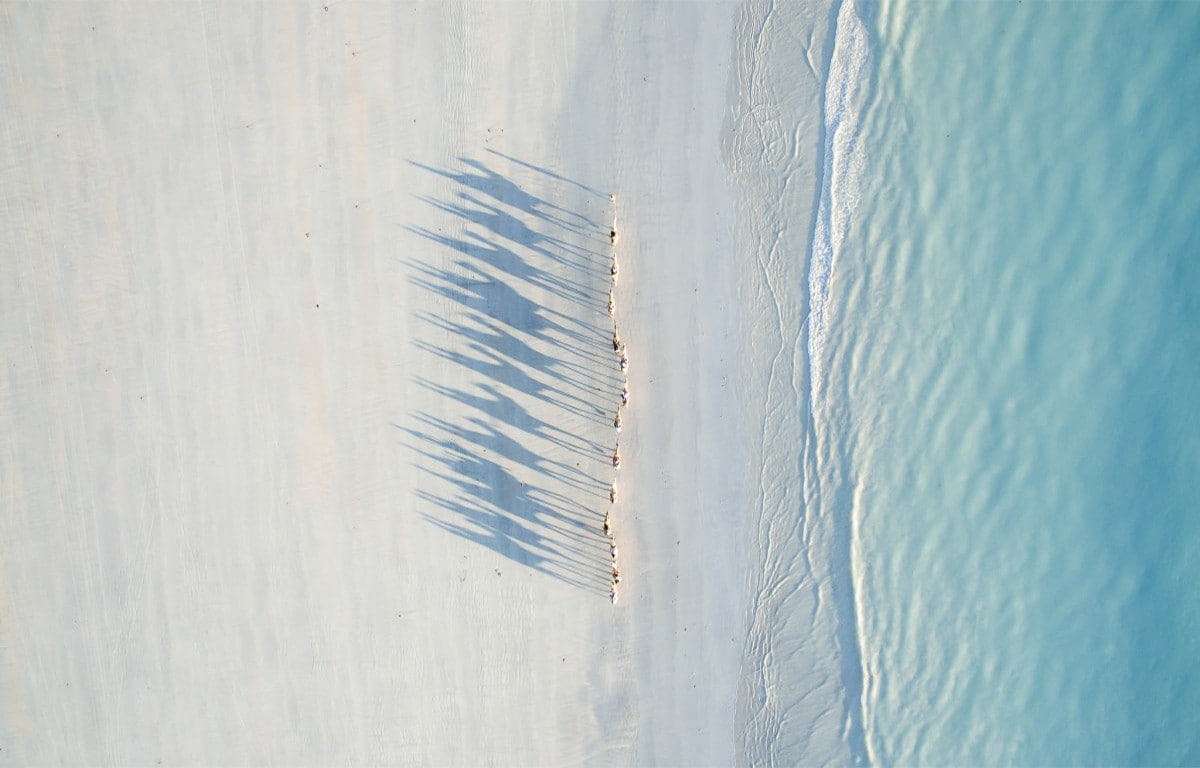 camels, 480P, Australia, drone, Todd Kennedy, HD Wallpaper