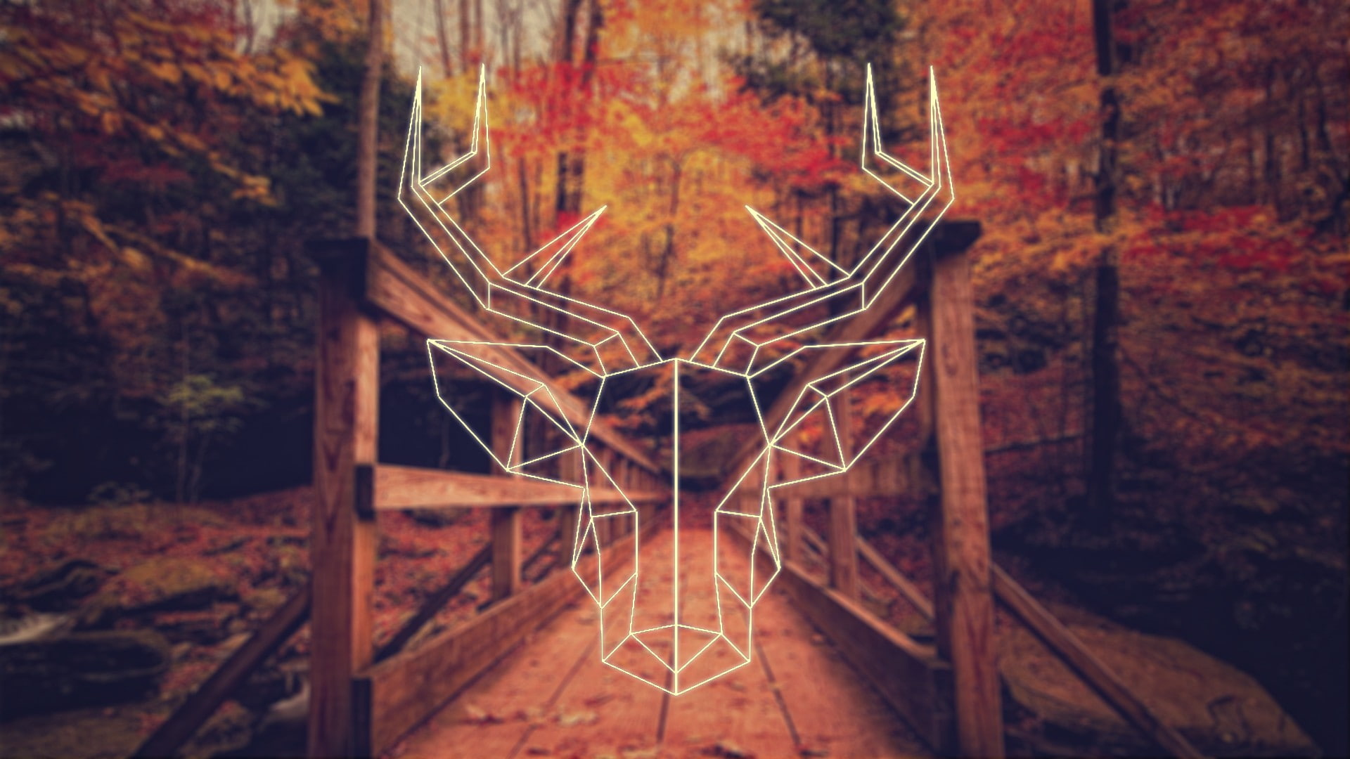 deer, fall, simple, 1080P, polygon art, HD Wallpaper