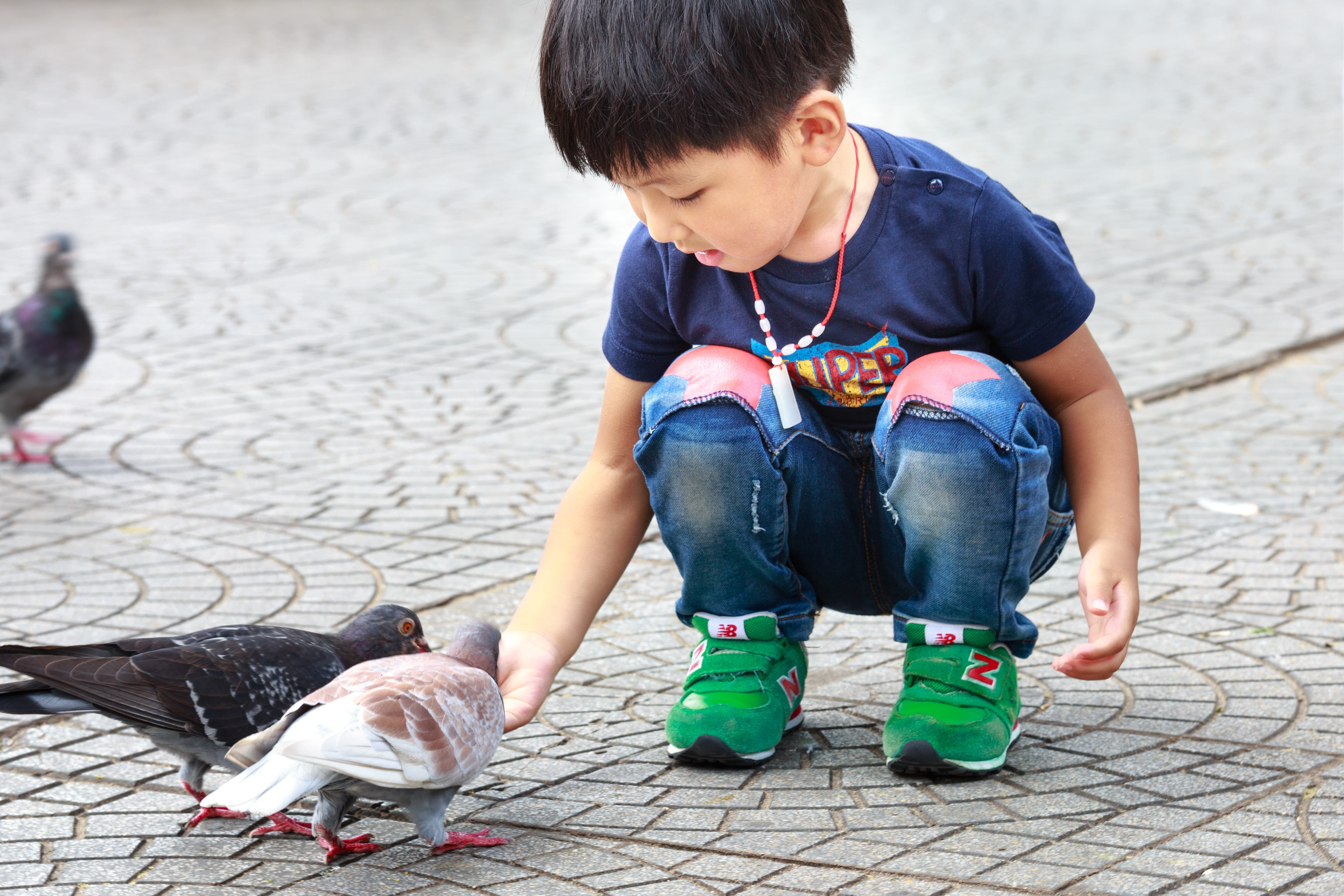 mother, food, people, boys, baby, play, casual clothing, kids, bird, paving stone, fun, two, dove, feeding, the park, happy, vertebrate, childhood, less, HD Wallpaper