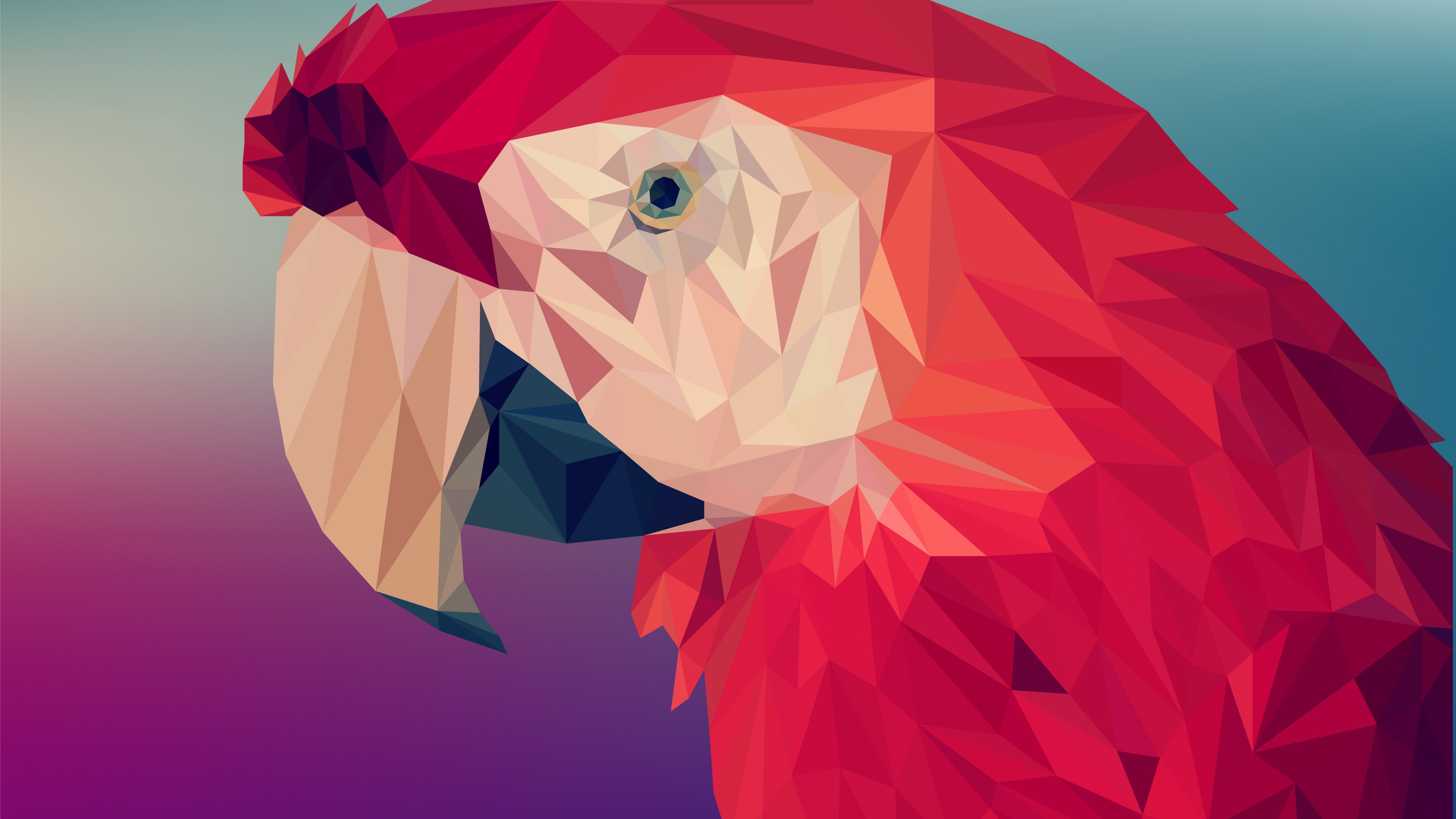4K, 5K, Polygon, 6K, Digital Art, Parrot, HD Wallpaper