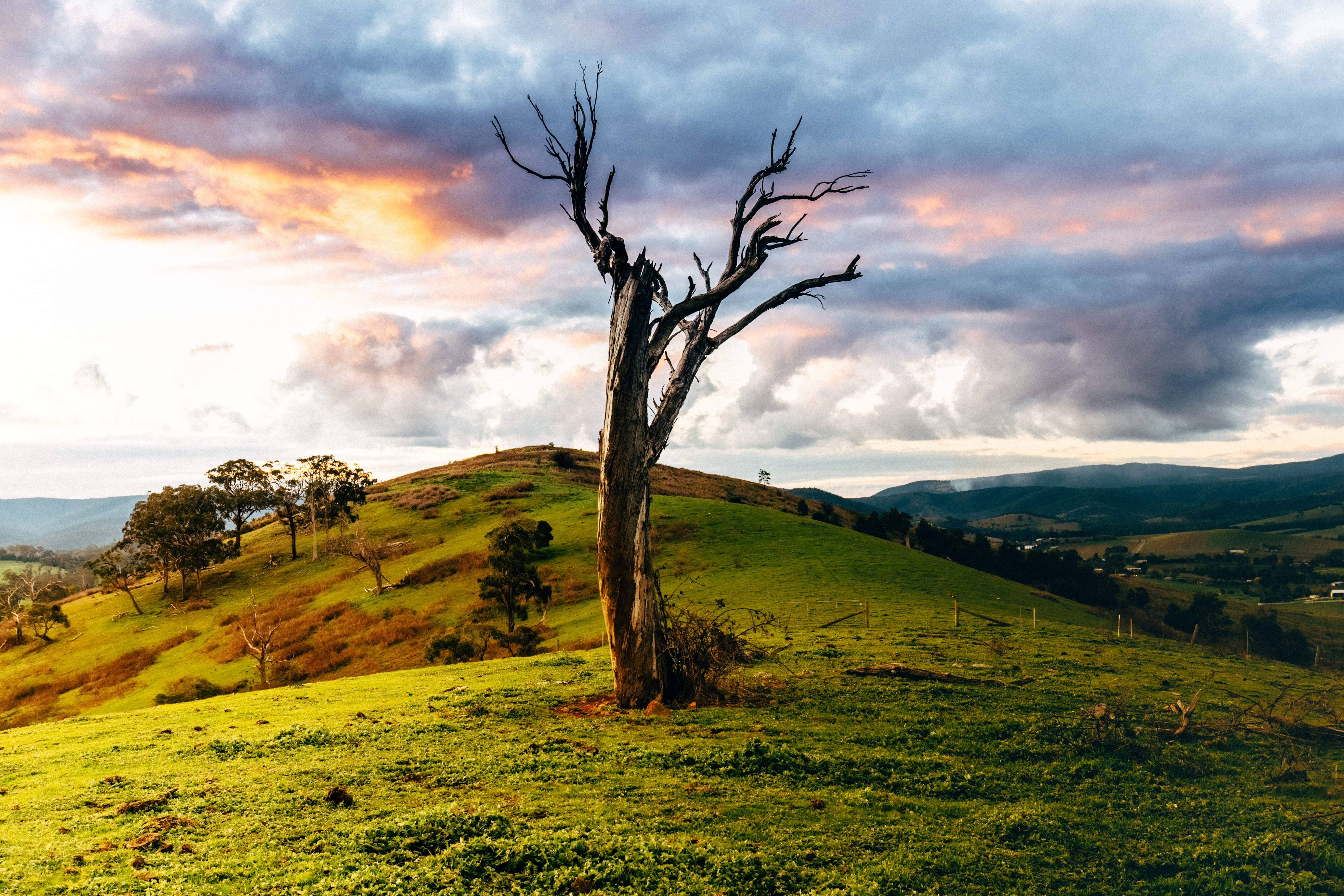green color, land, growth, beauty in nature, mountain, environment, meadow, landscape, tree, cloud - sky, nature, grass, non-urban scene, trees, scenics - nature, HD Wallpaper
