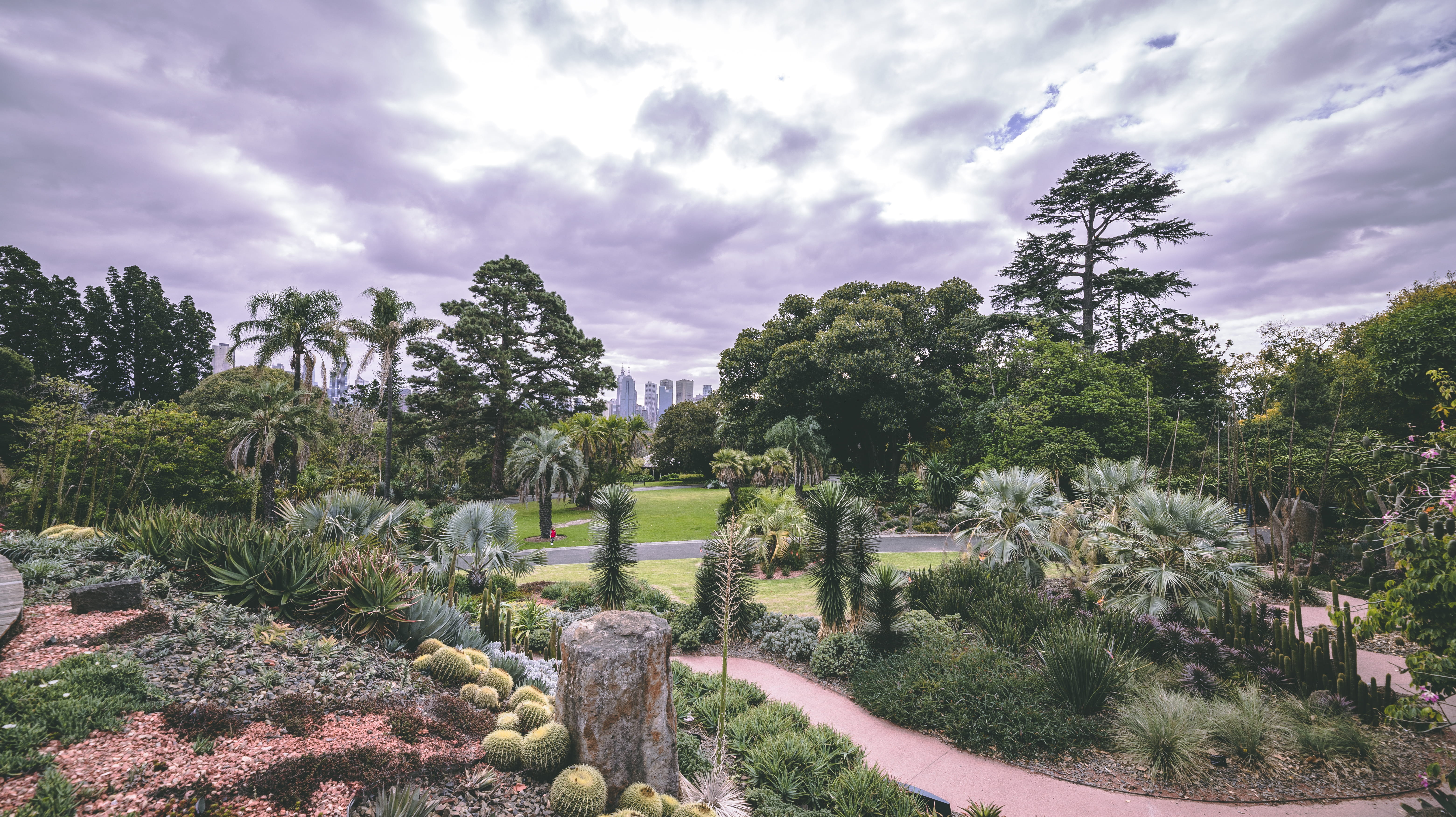 outdoors, tranquil scene, landscape, trees, walk, tree, green color, plant, cloud - sky, photo, park - man made space, go, scenics - nature, 1 fairlie ct, HD Wallpaper