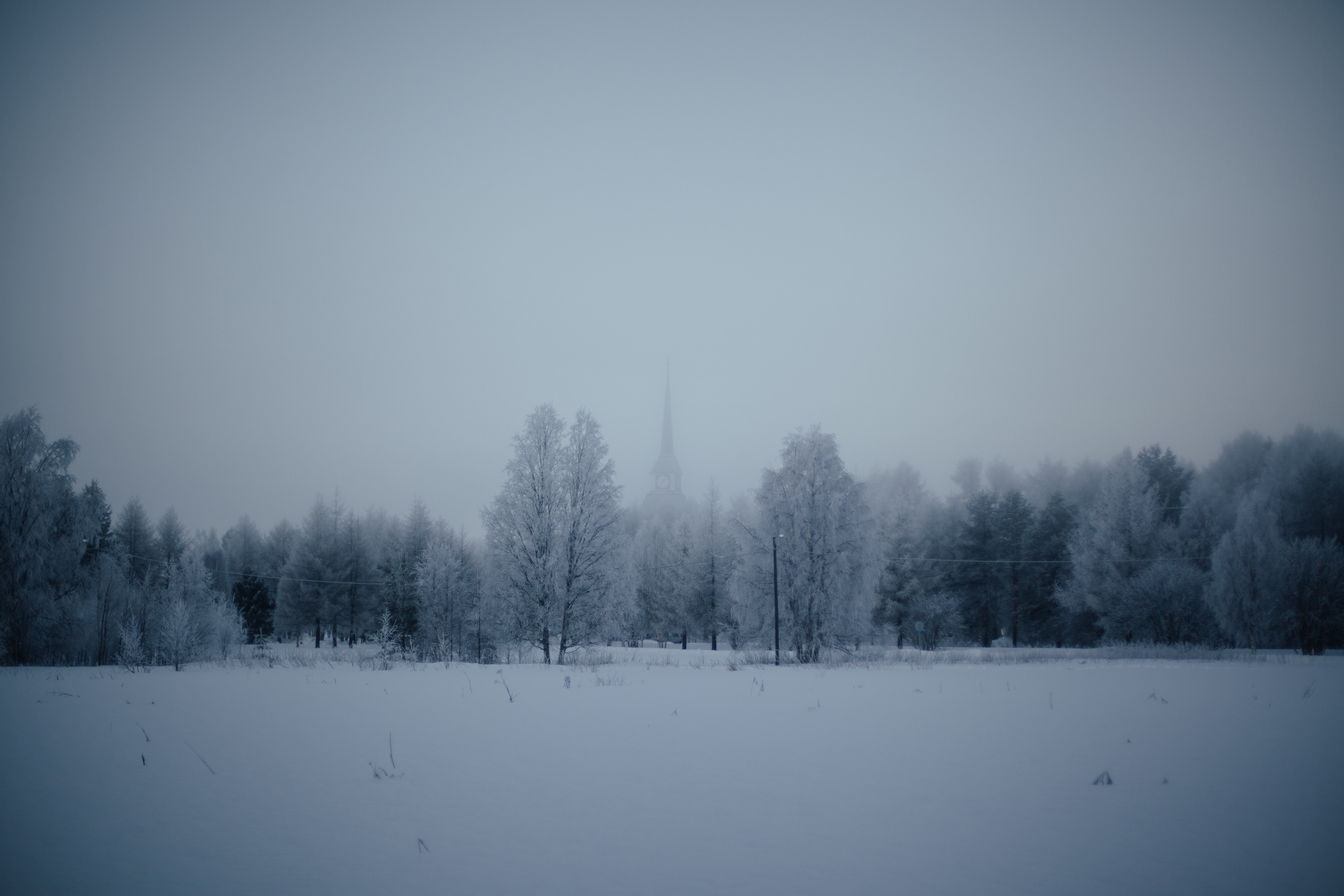 tranquil scene, scenics - nature, scenics, sky, coniferous tree, cold temperature, winter, coated, fog, non-urban scene, pine woodland, landscape, snowing, HD Wallpaper