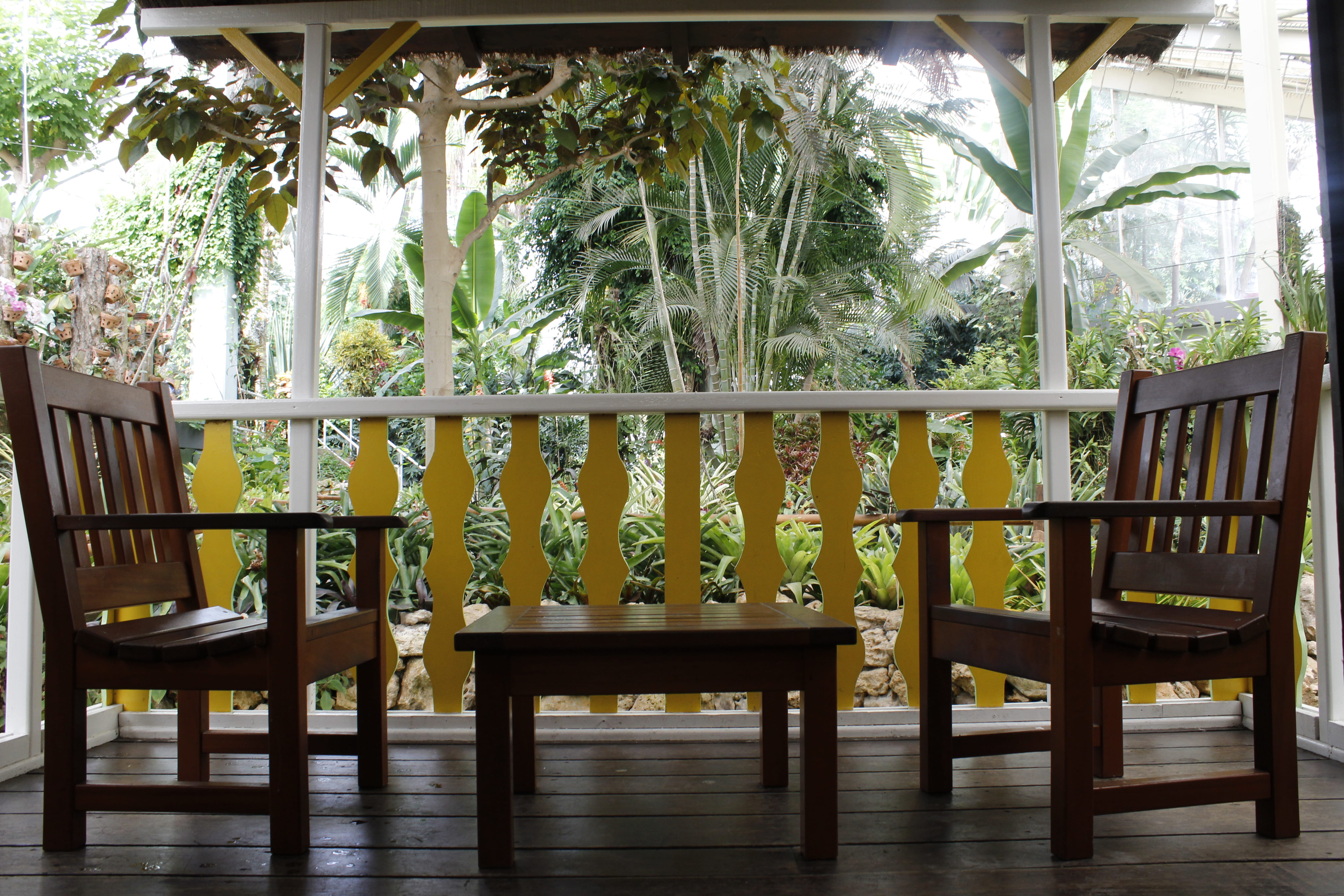 story time, date, railing, table, sit, france, empty, plant, wood - material, 5K, chair, light, flooring, furniture, porch, no people, tree, day, growth, HD Wallpaper