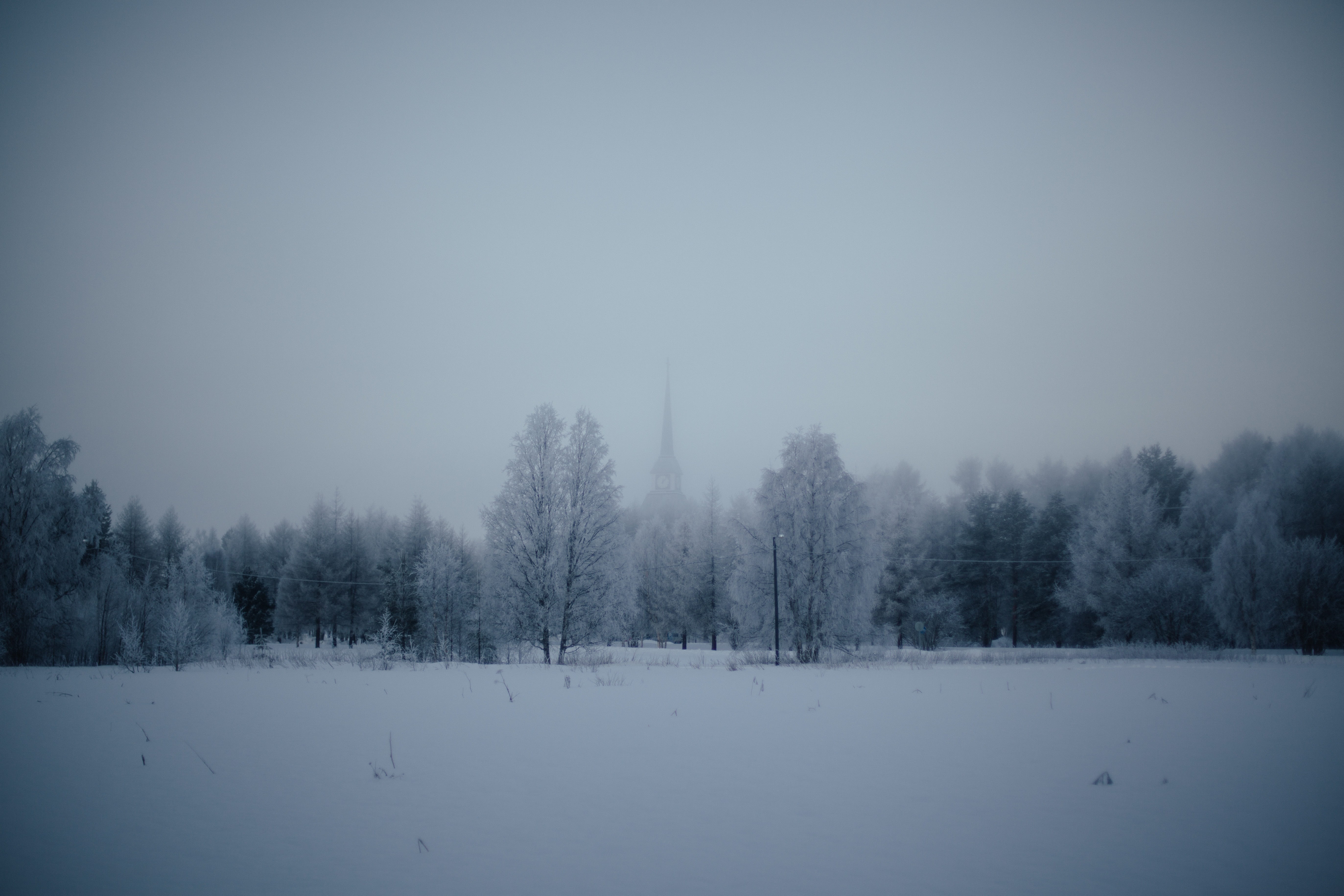 tranquil scene, cold temperature, landscape, trees, field, snowing, winter, sky, blanket, forests, tree, nature, day, solemn, fog, scenics - nature, 5K, HD Wallpaper