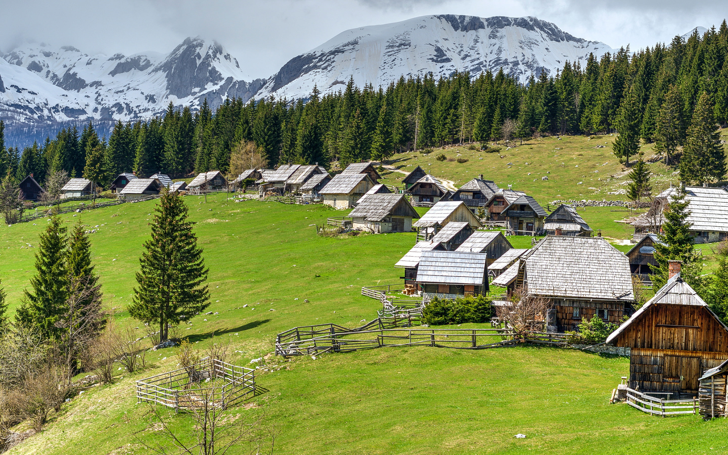 Pokljuka, houses, 2K, forest, Slovenia, glade, mountains, HD Wallpaper
