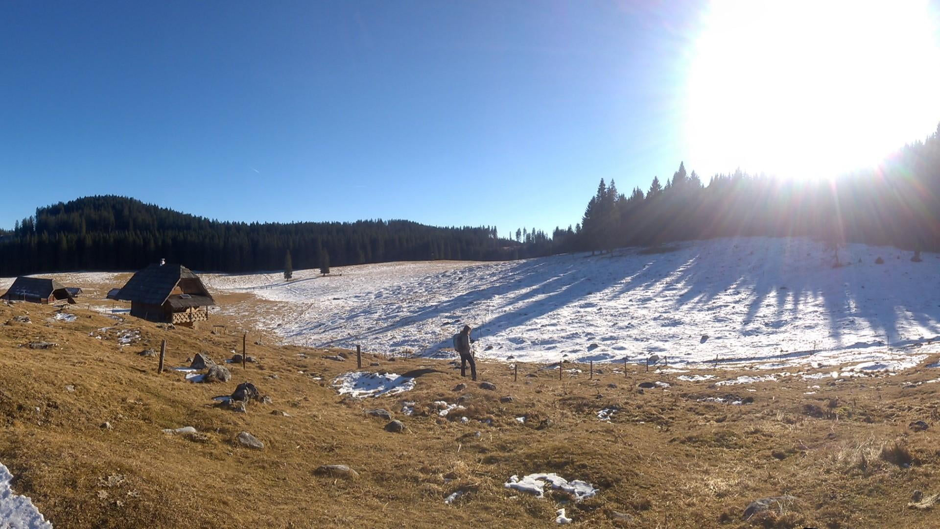 slovenia, sunny, beautiful, 1080P, pokljuka, alpe, nature, HD Wallpaper
