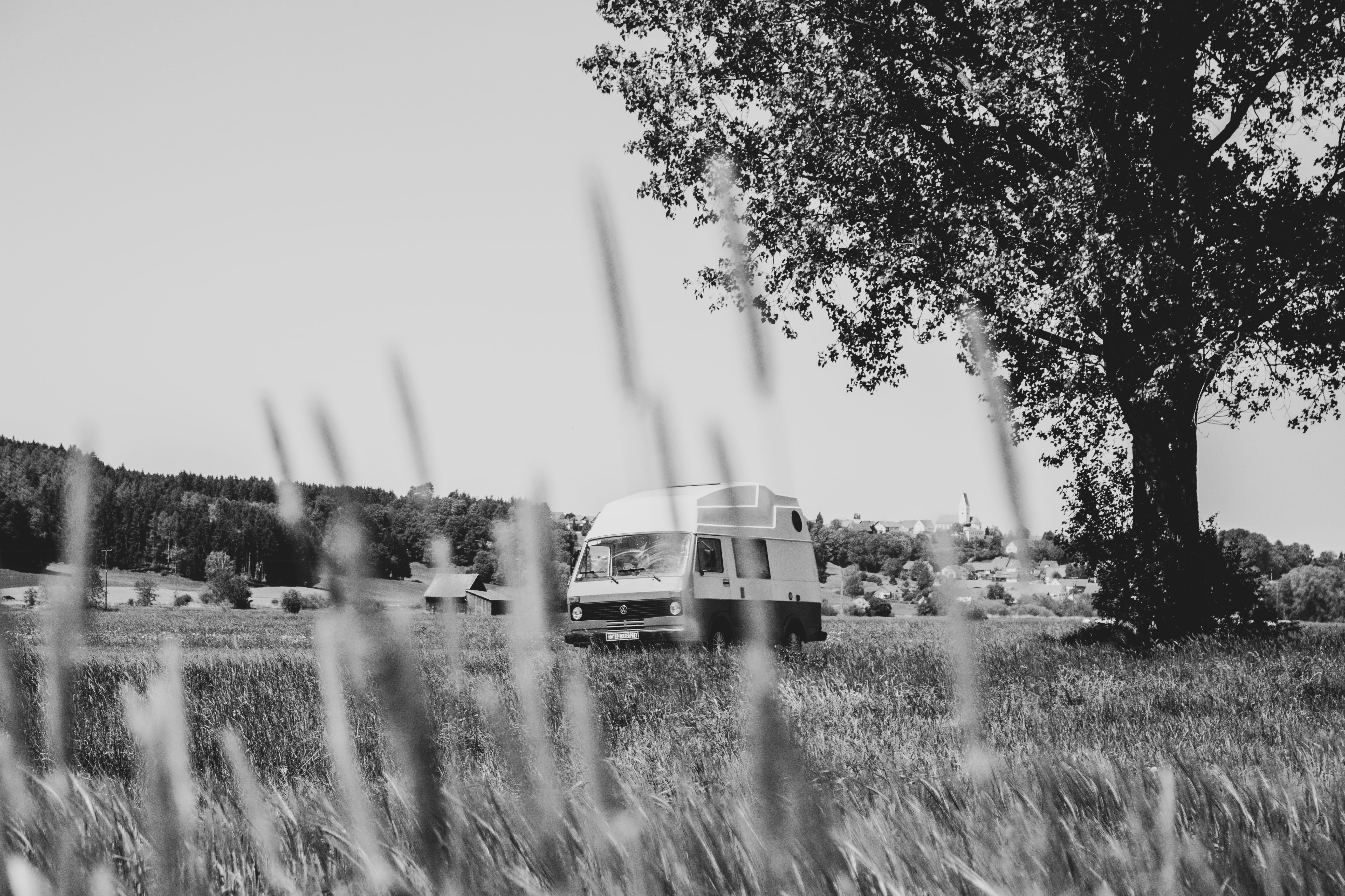 grass, camp, day, caravan, motion, roadtrip, land vehicle, growth, transportation, vehicle, vanlife, motorhome, wanderlust, 5K, dog, outdoors, camping, HD Wallpaper